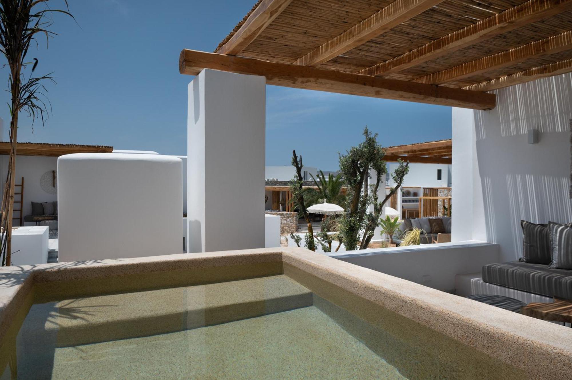 Suite with Private Pool - Photo 64