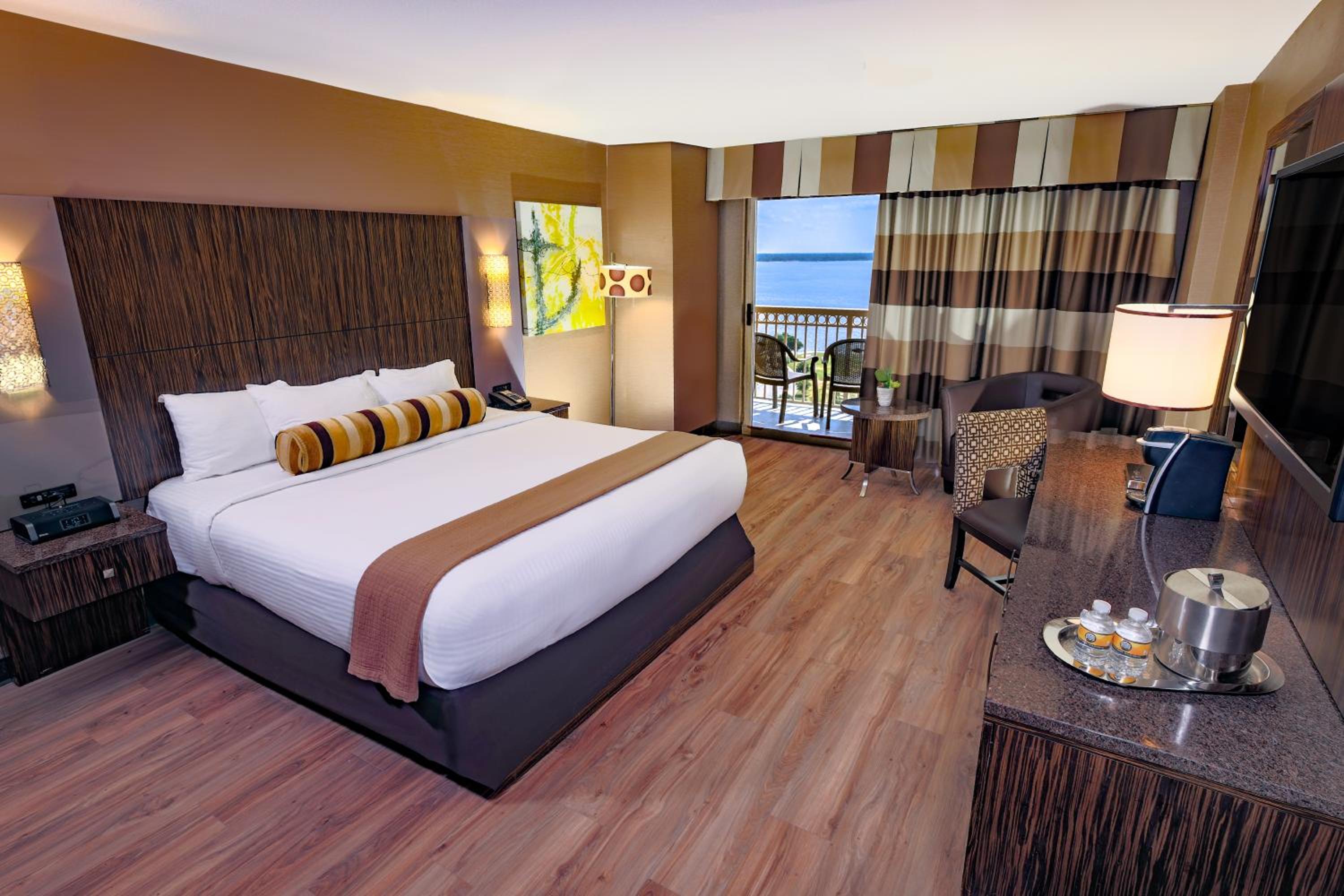Terrace Room- 1 King Bed  photo 1