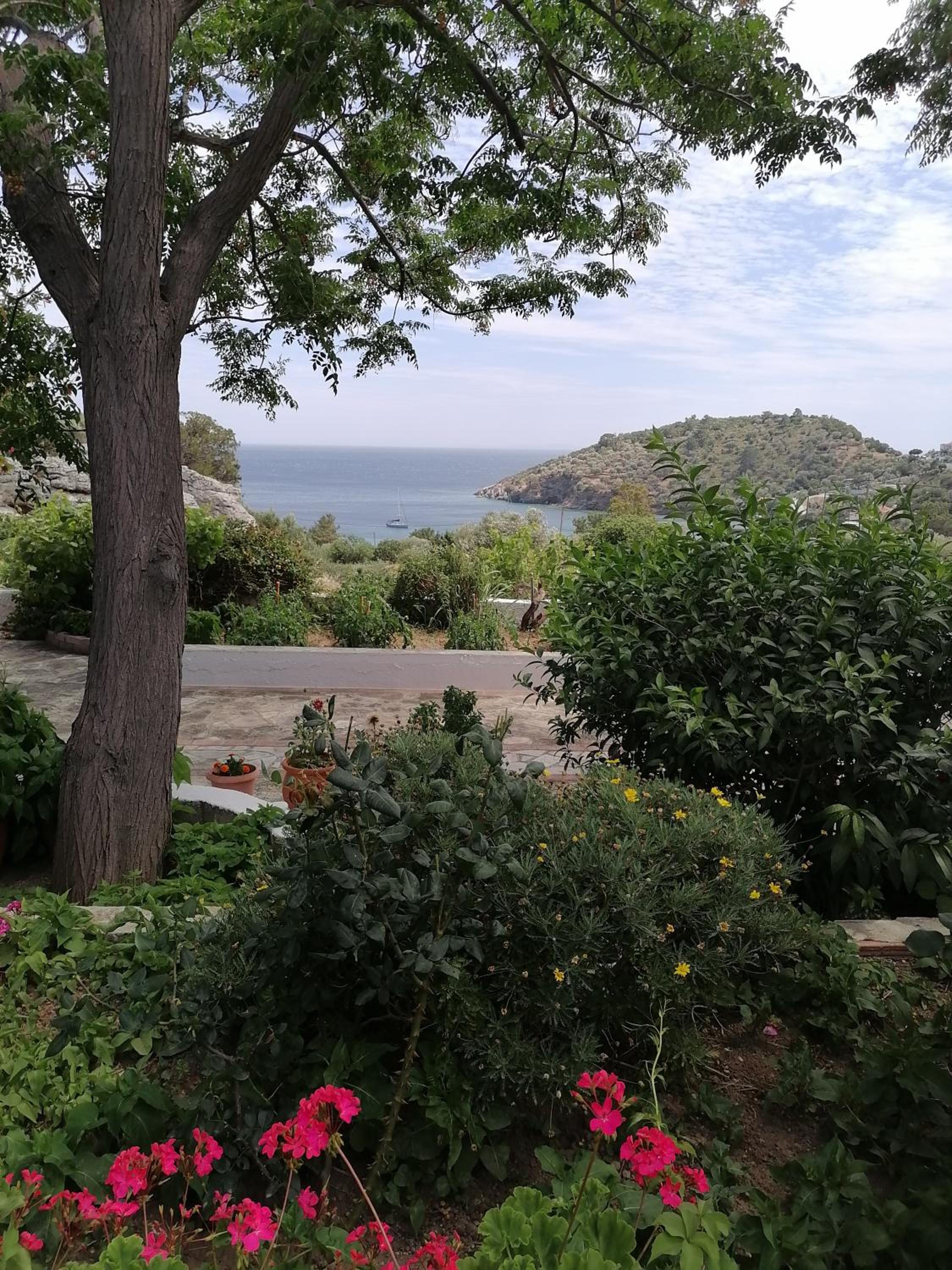 Apartment with Sea View photo 2