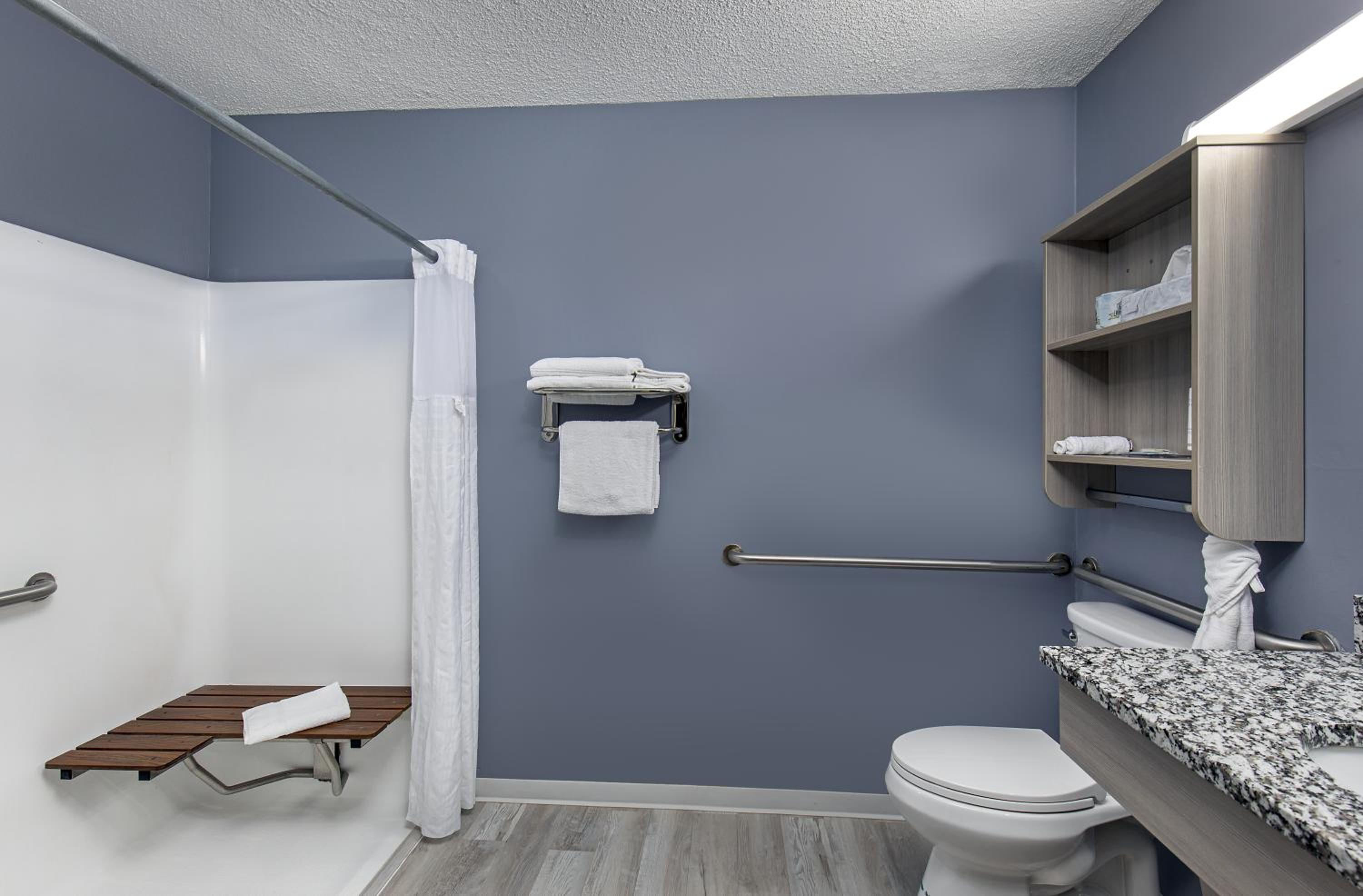 Queen Room with Roll-In Shower - Mobility Accessible/Non-Smoking - Photo 2