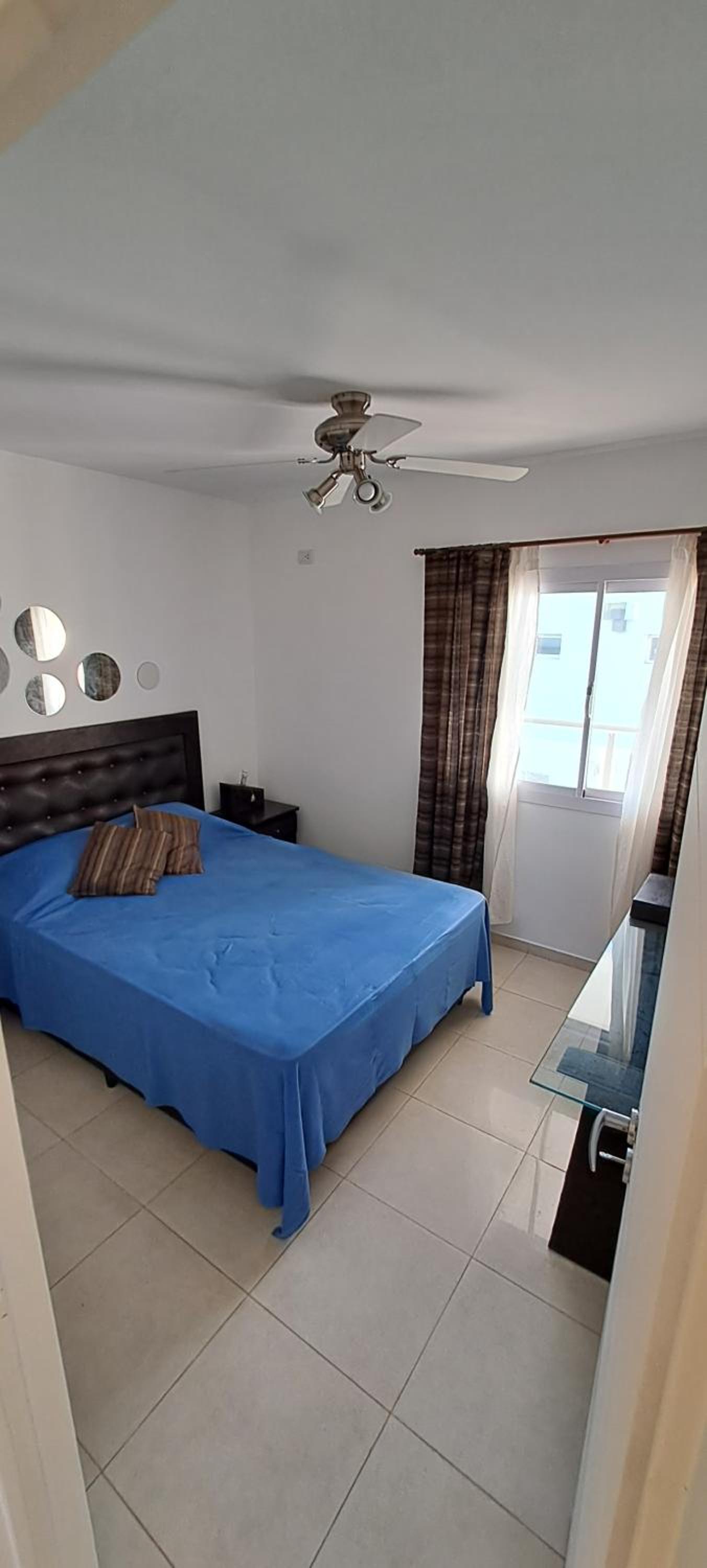 One-Bedroom Apartment photo 3
