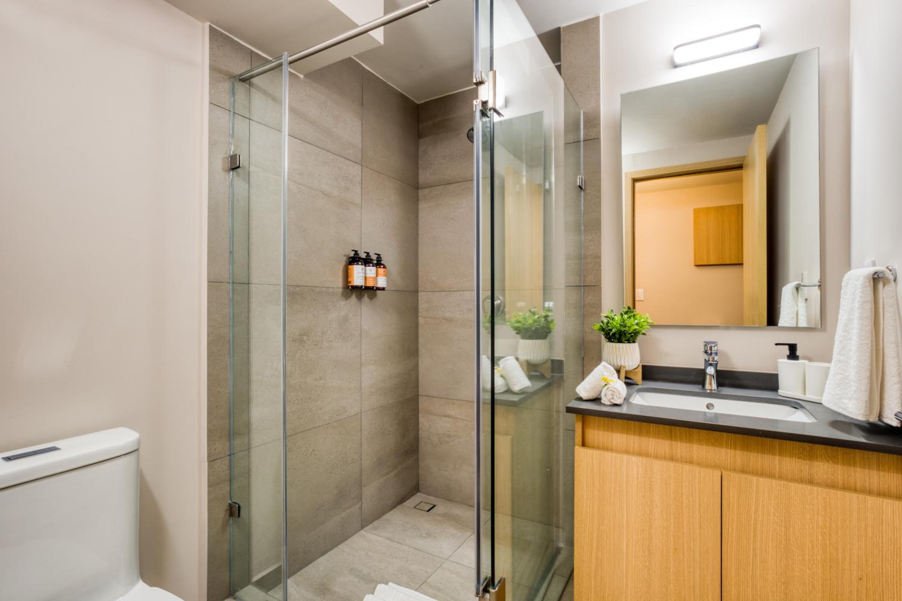Deluxe Suite - Photo 5
