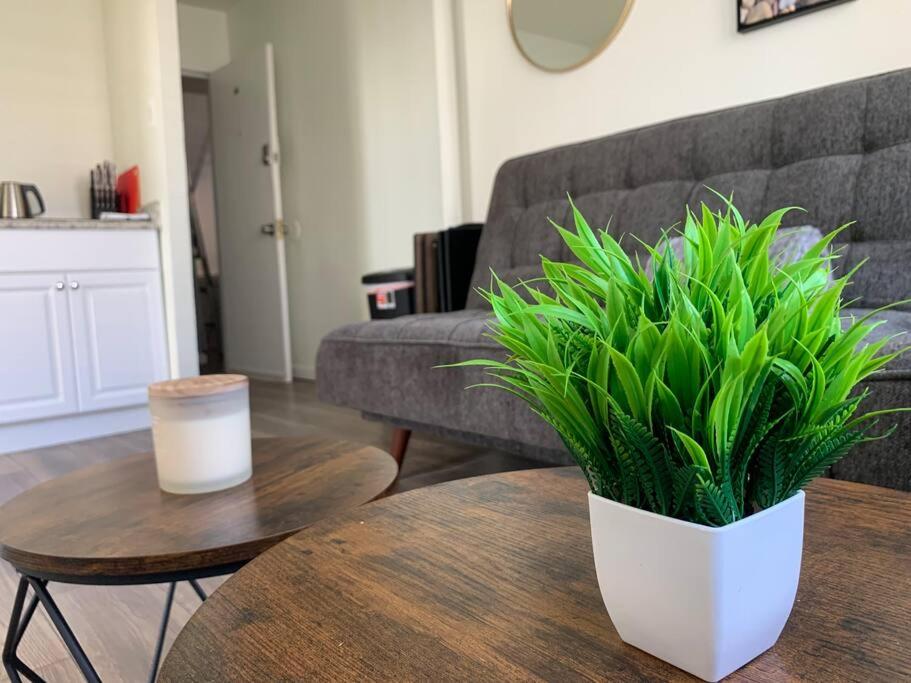 Apartment photo 3