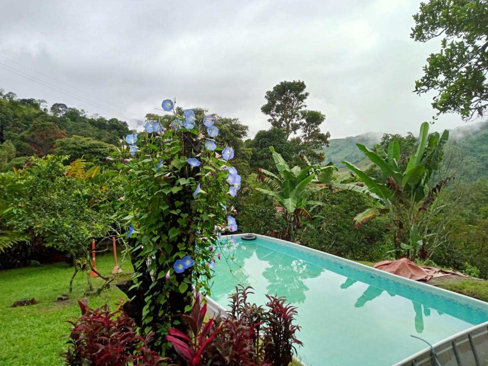 Three-Bedroom House photo 3