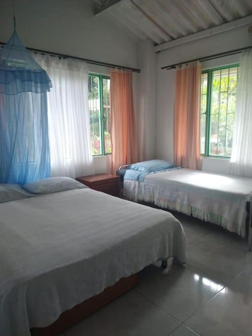 Three-Bedroom House photo 1