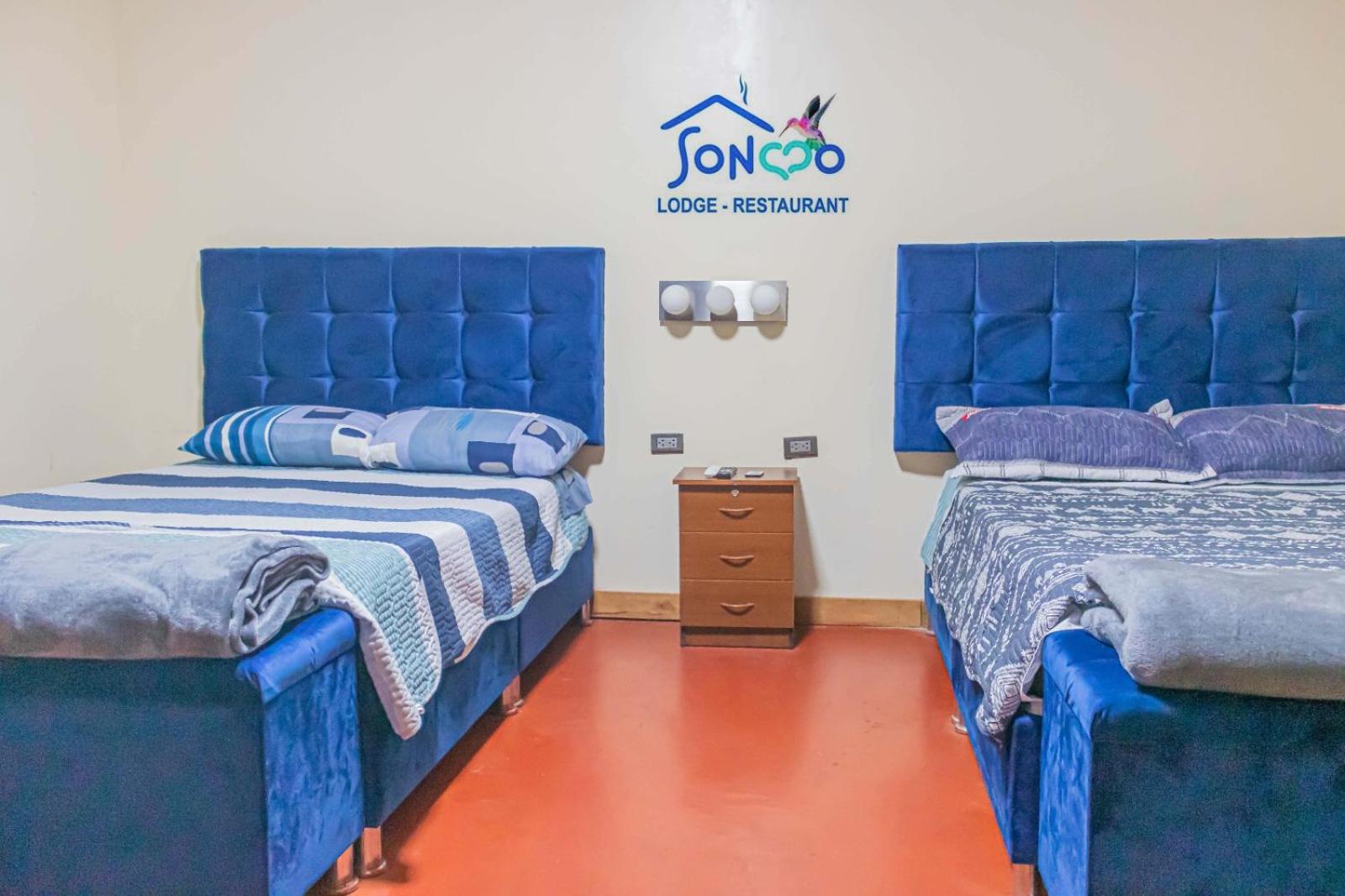 6-Bed Male Dormitory Room photo 1