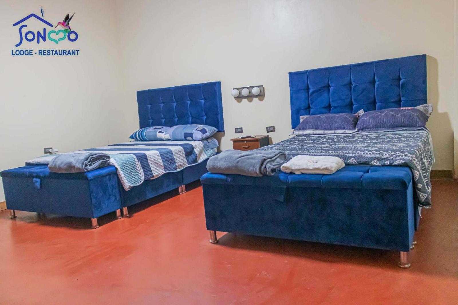 6-Bed Male Dormitory Room photo 3