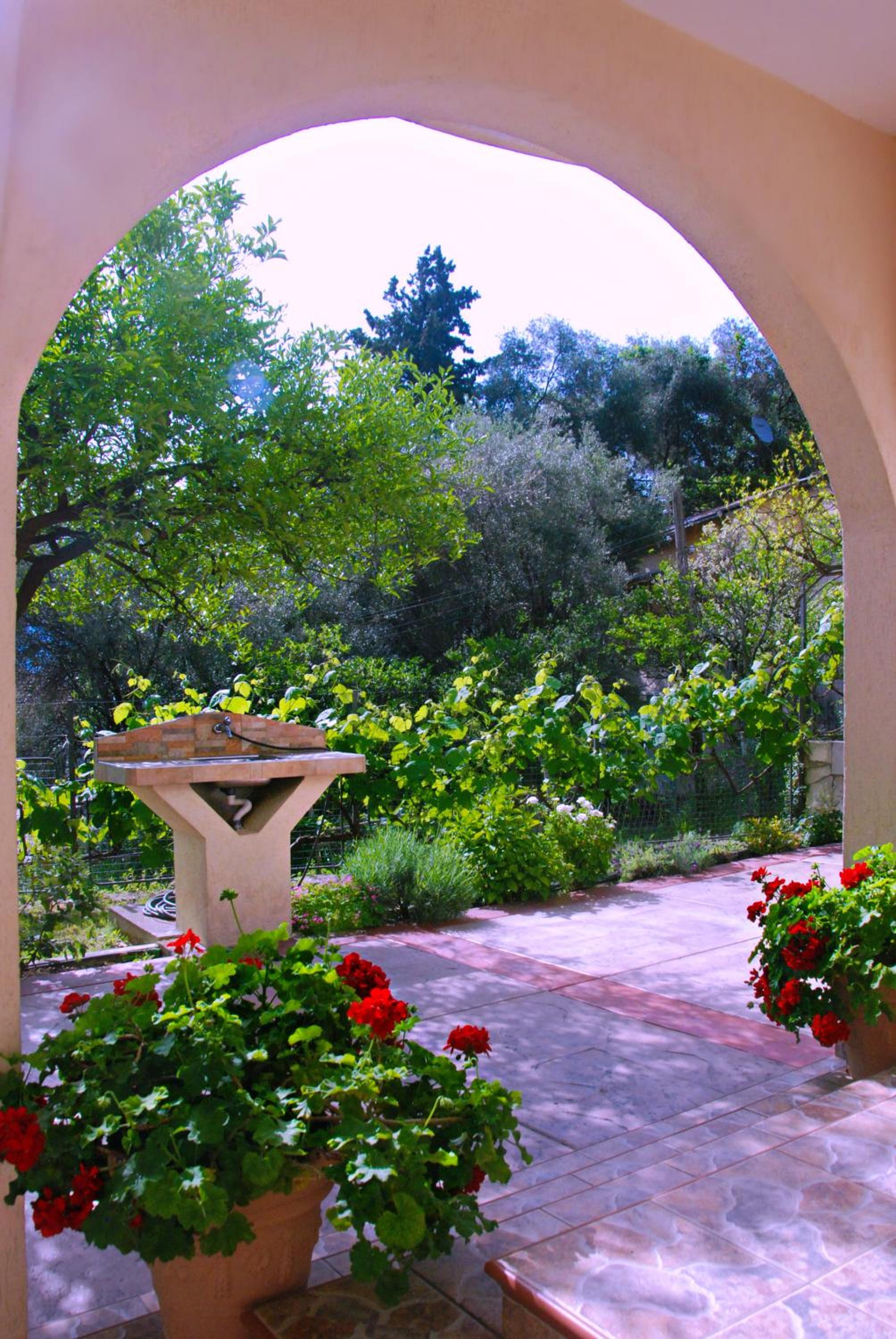 Studio with Garden View photo 2