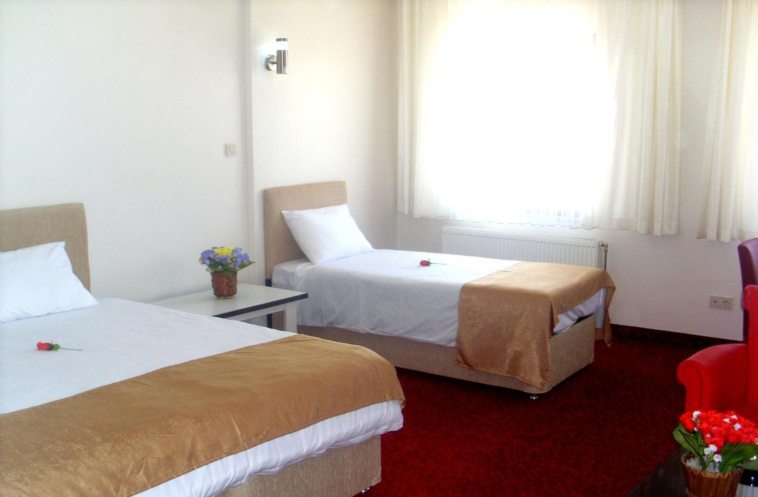 Large Twin Room photo 1