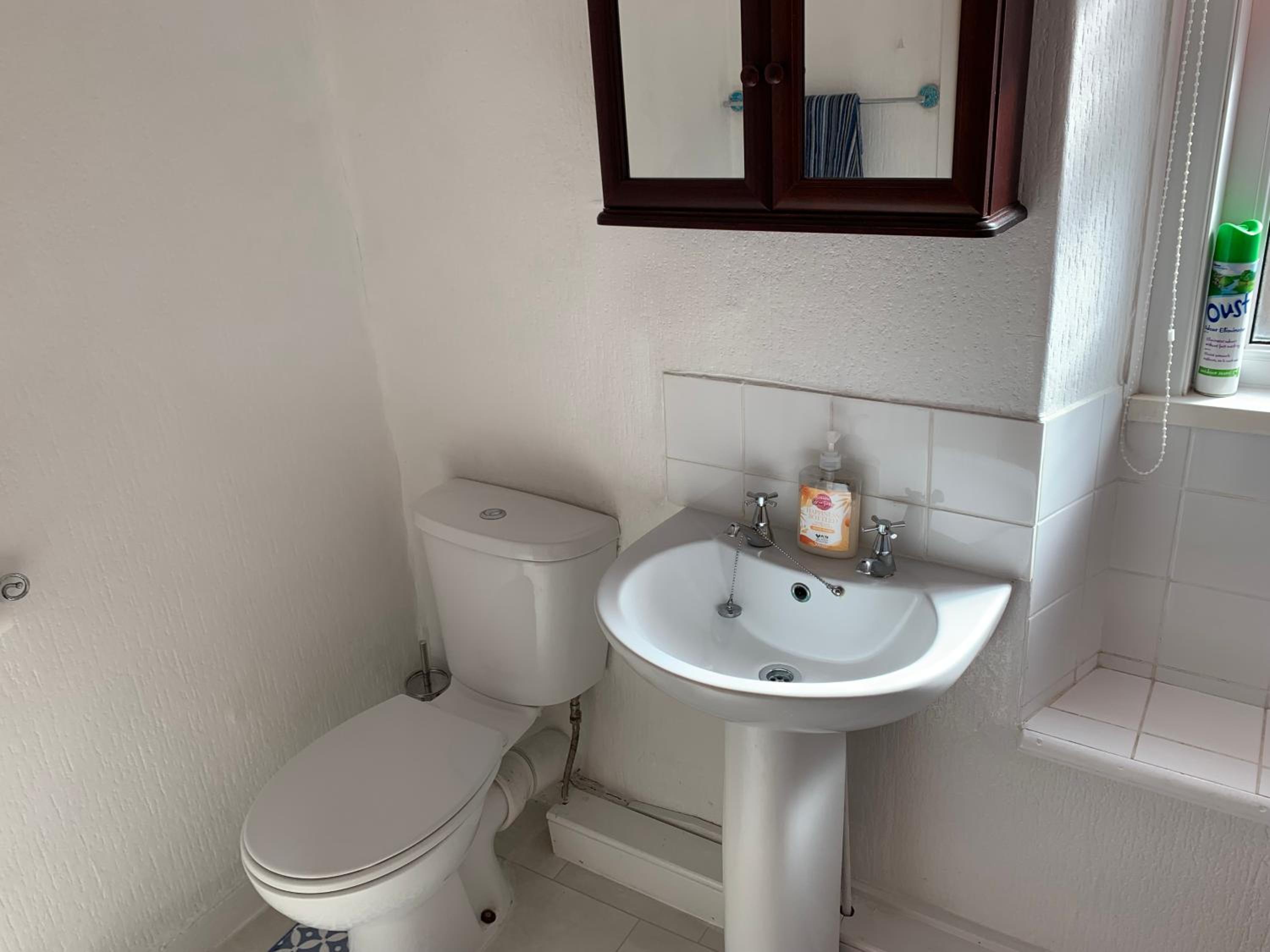 One-Bedroom House photo 3