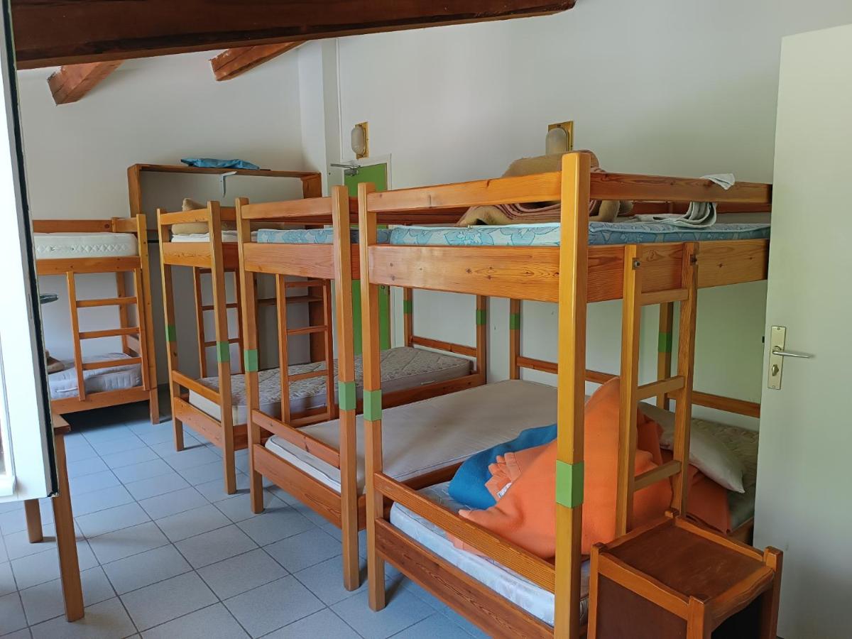 Bunk Bed in Mixed Dormitory Room photo 1