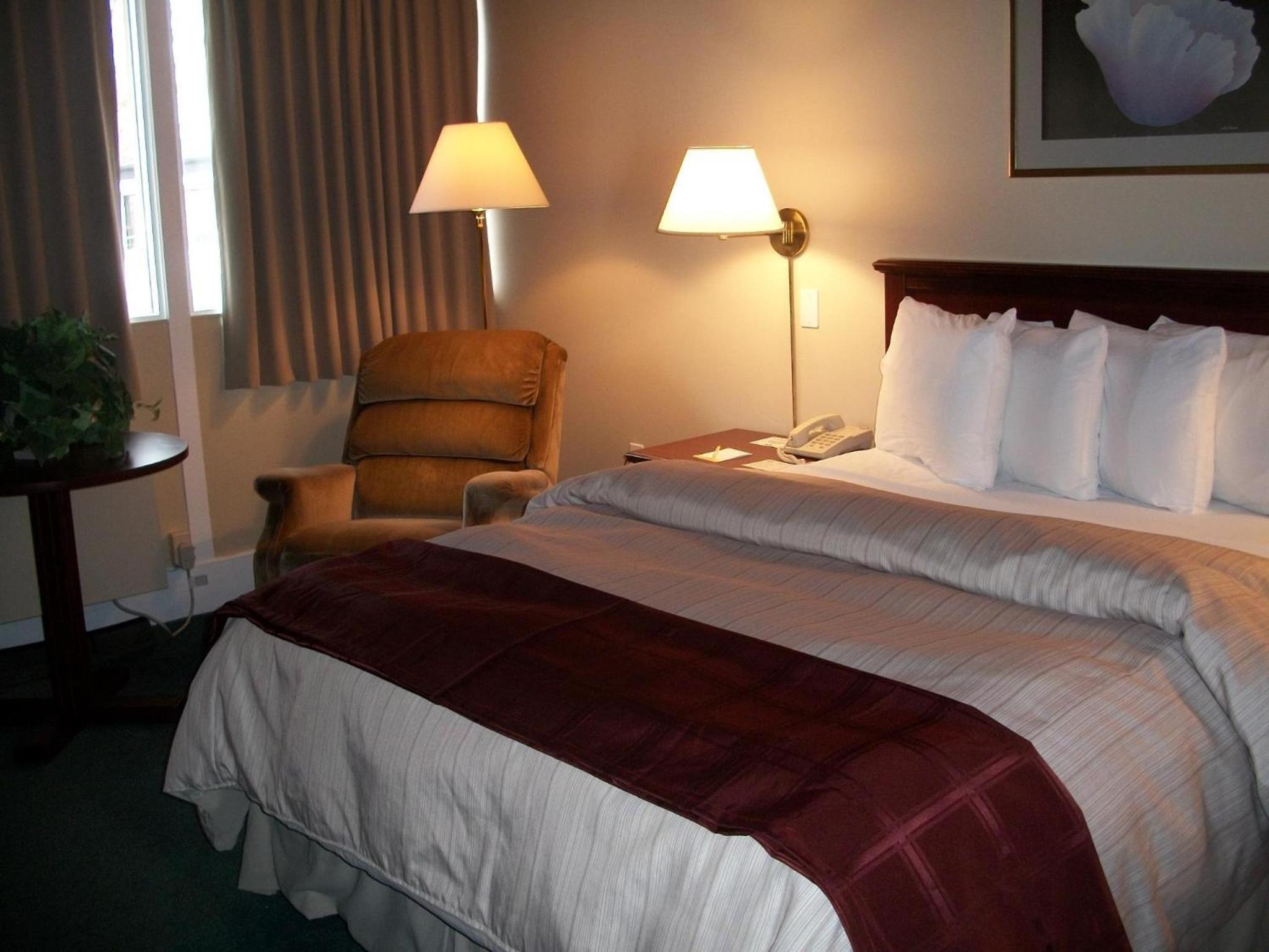 Queen Room - Non-Smoking - Photo 3