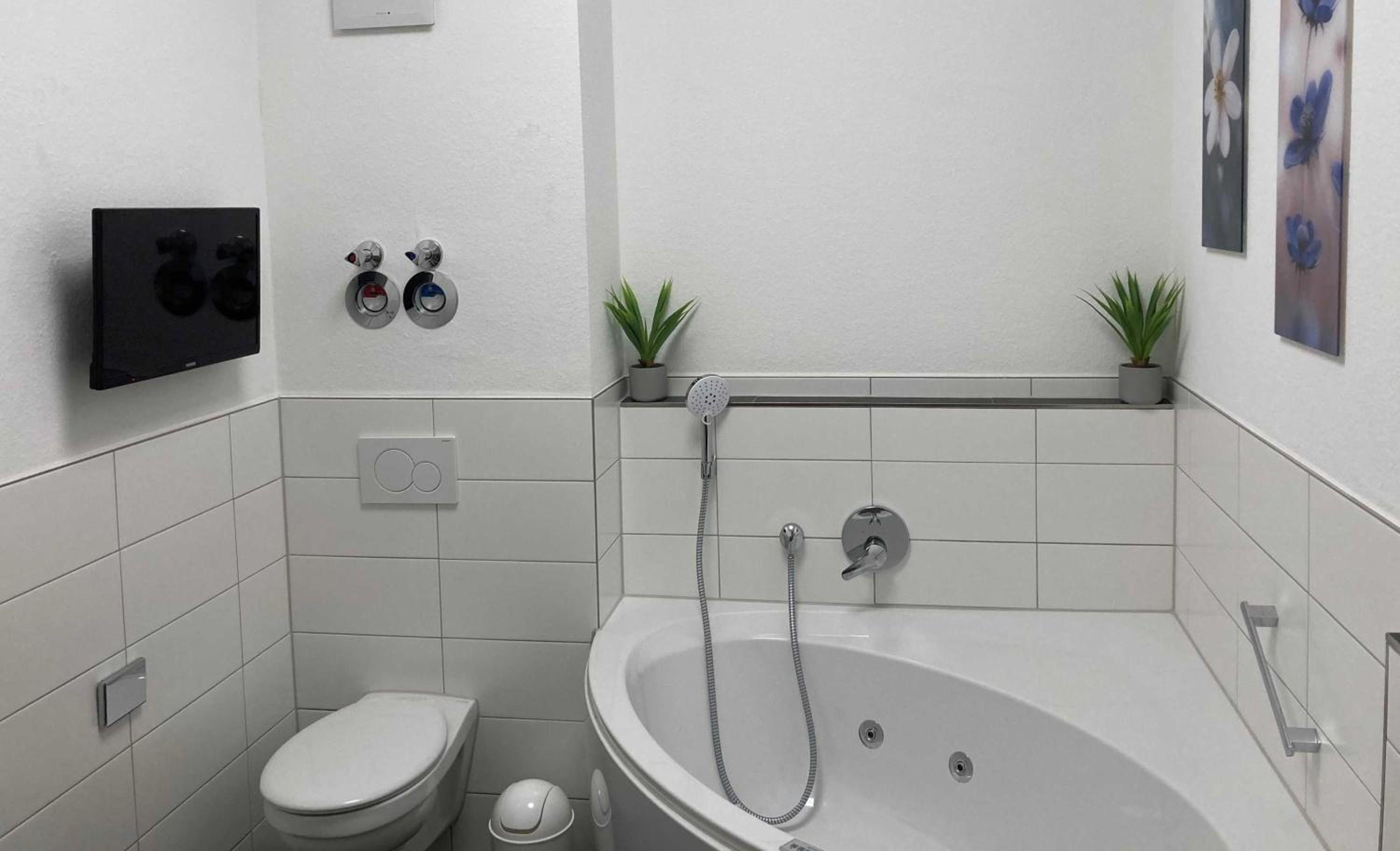 One-Bedroom Apartment with Balcony photo 3