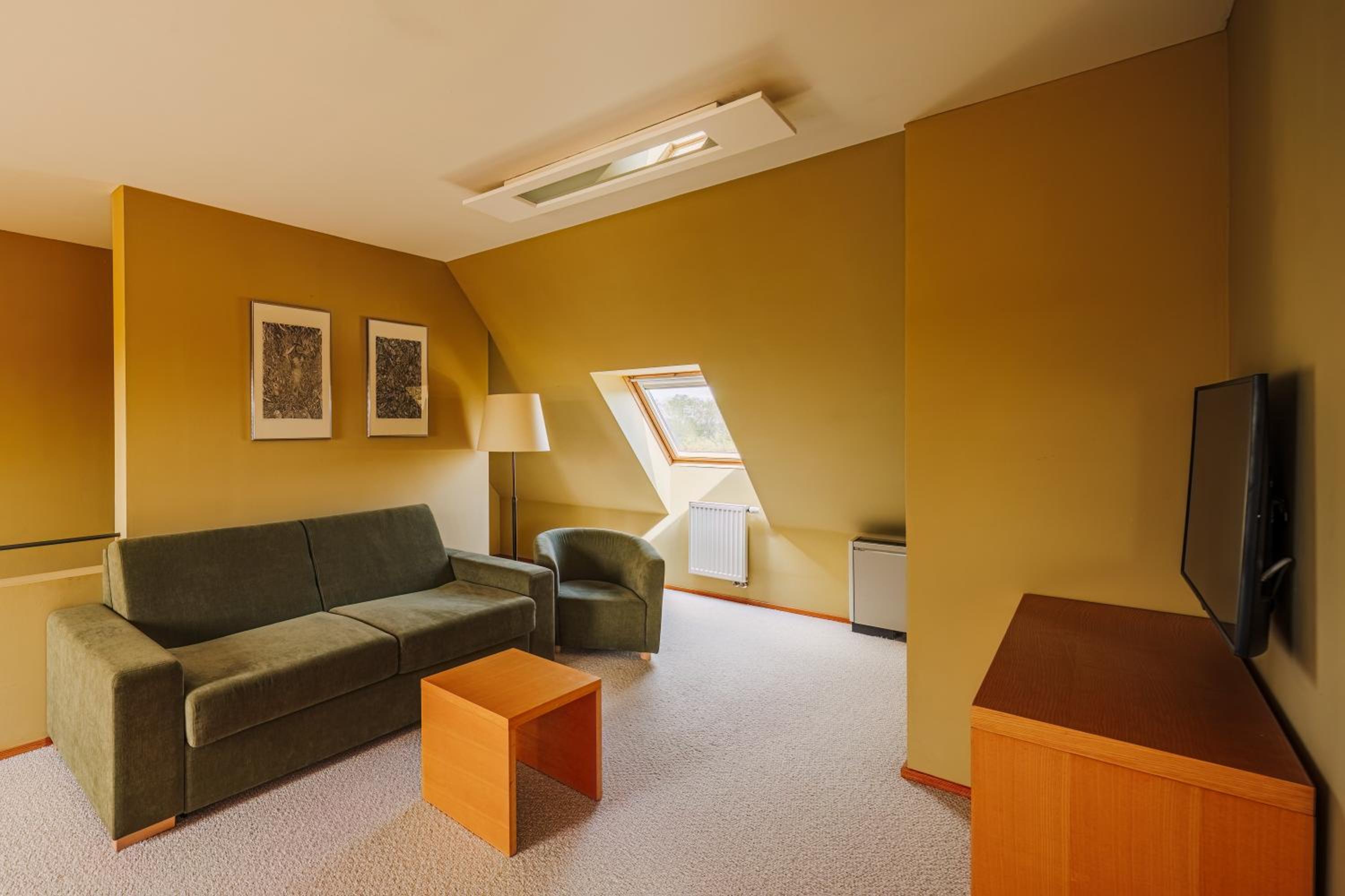 Attic Suite with Free Wellness Entrance