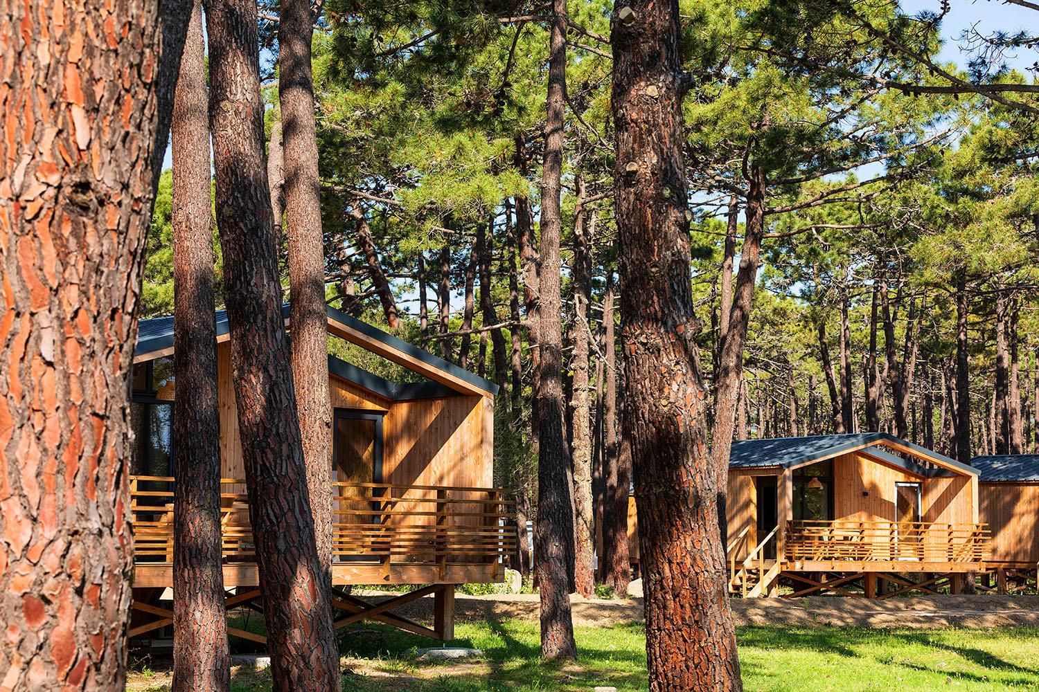 Chalet photo 1