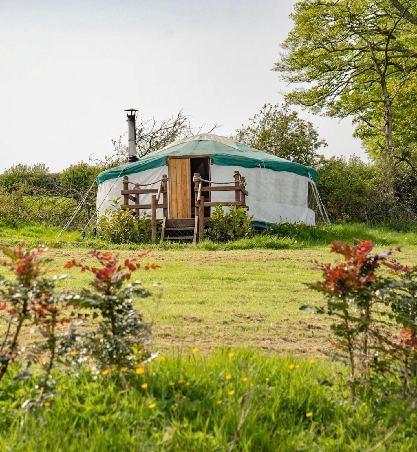 Dandelion Hill Yurt photo 3