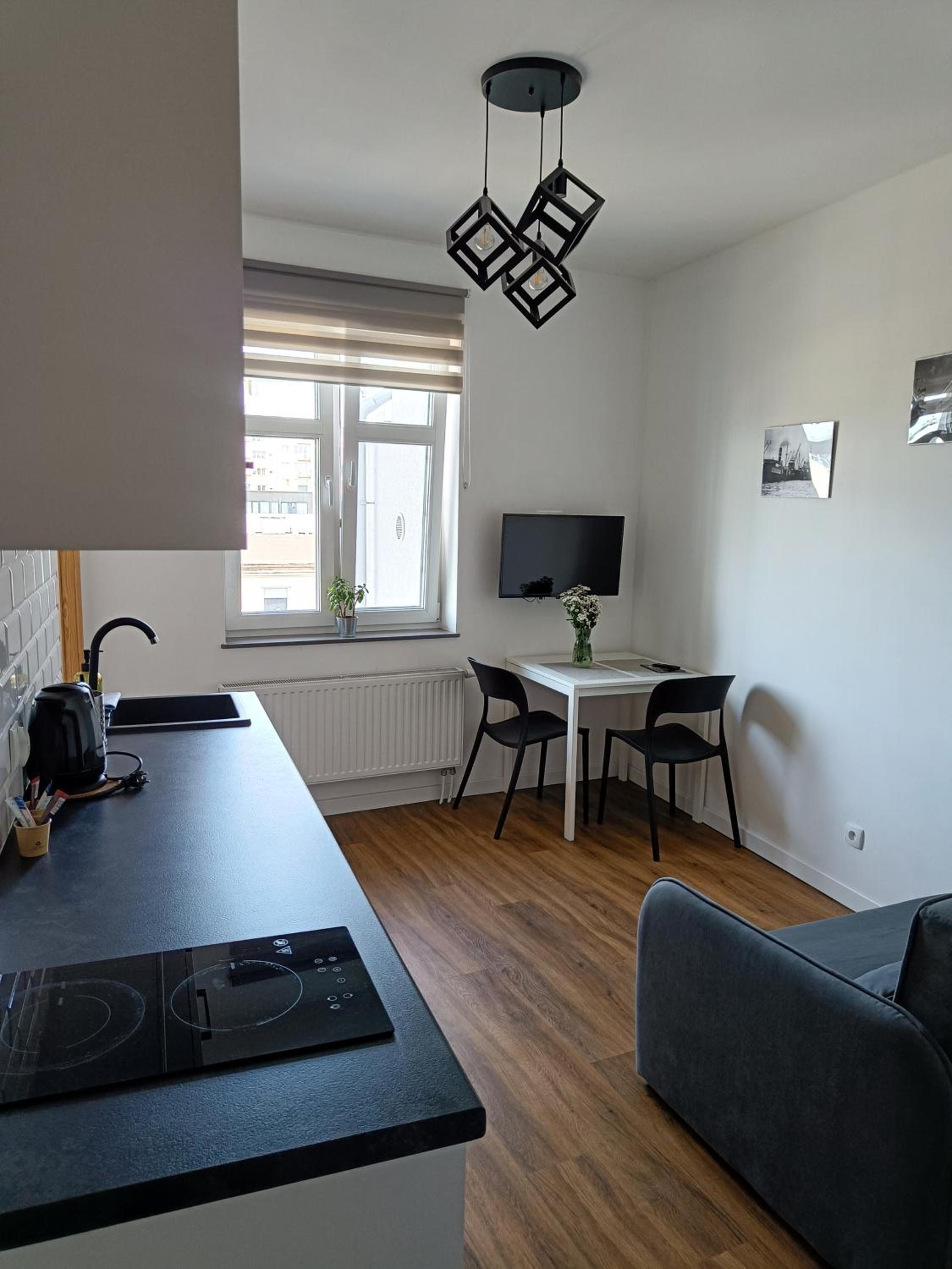 One-Bedroom Apartment - Photo 3