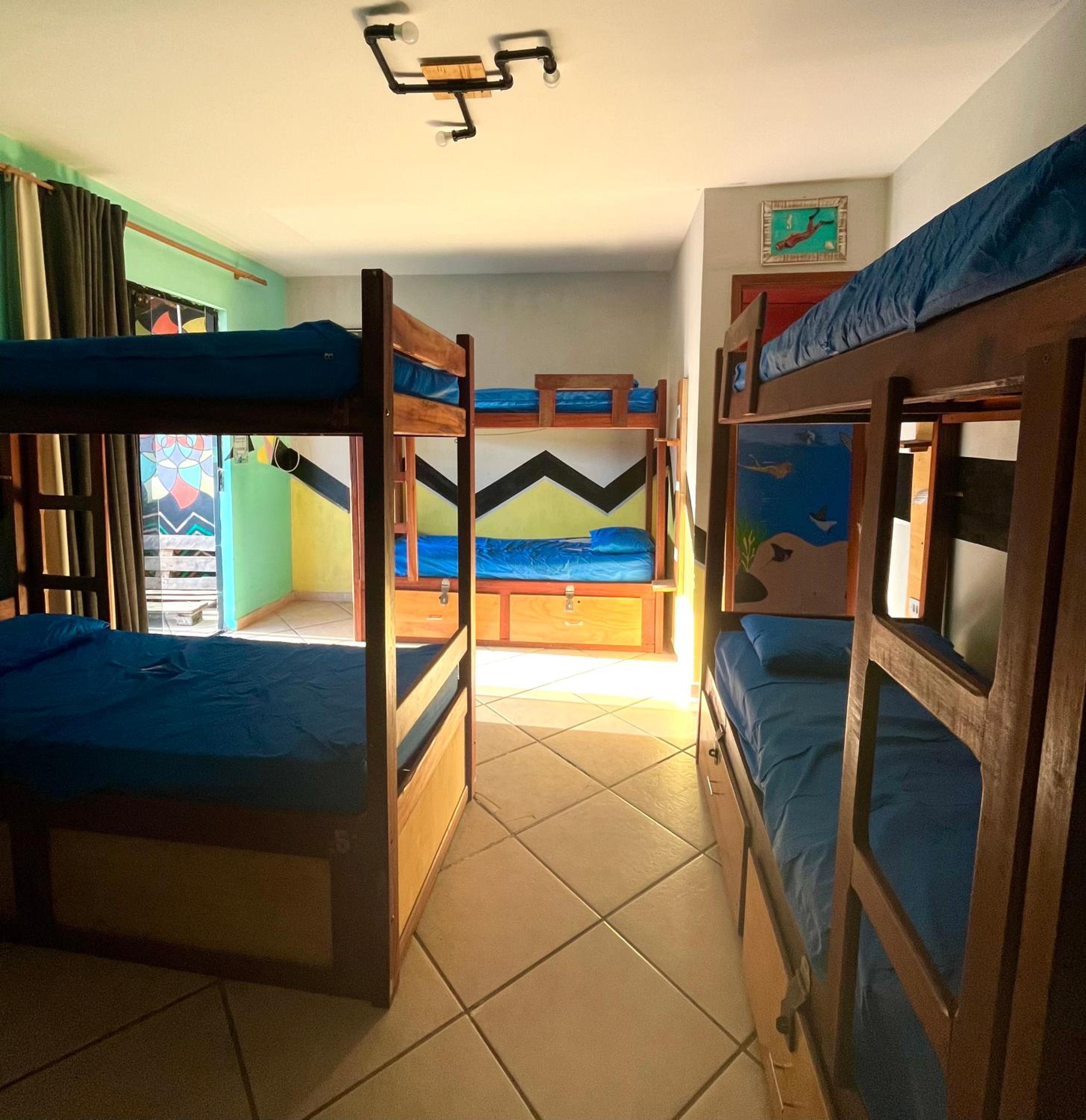 Bed in 8-Bed Mixed Dormitory Room photo 1