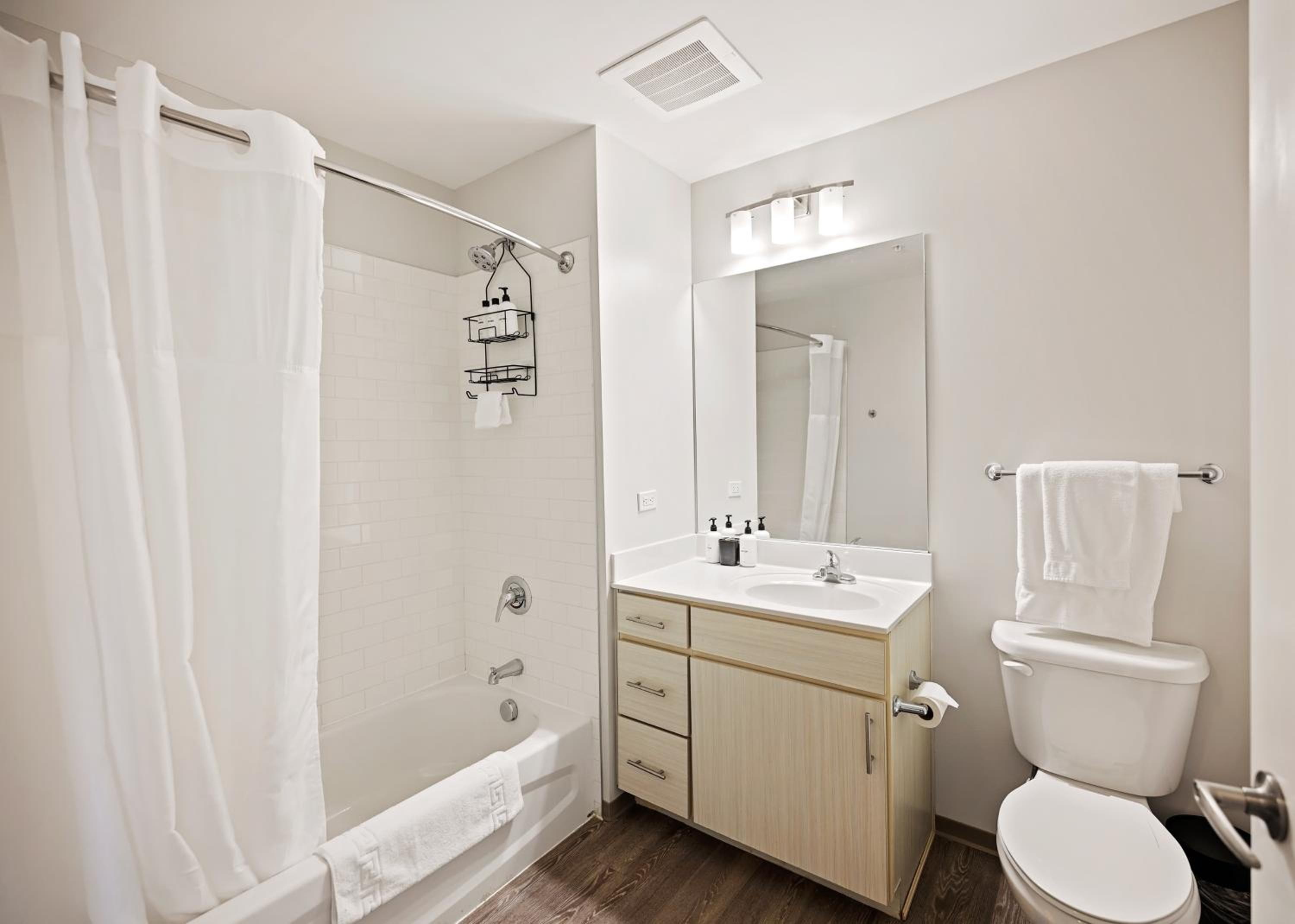 1 Bed | 1 Bath Suite - Photo 4