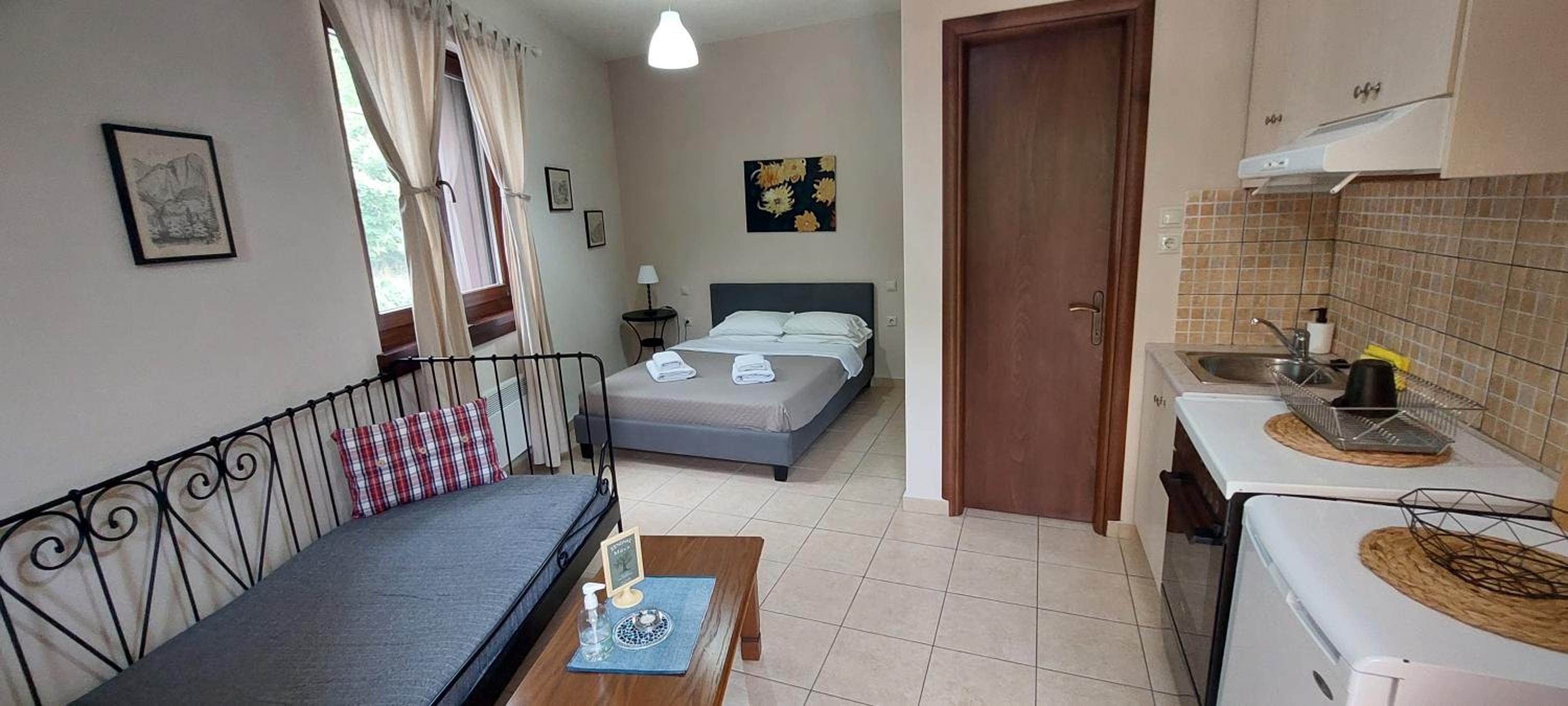 Studio Apartment photo 2