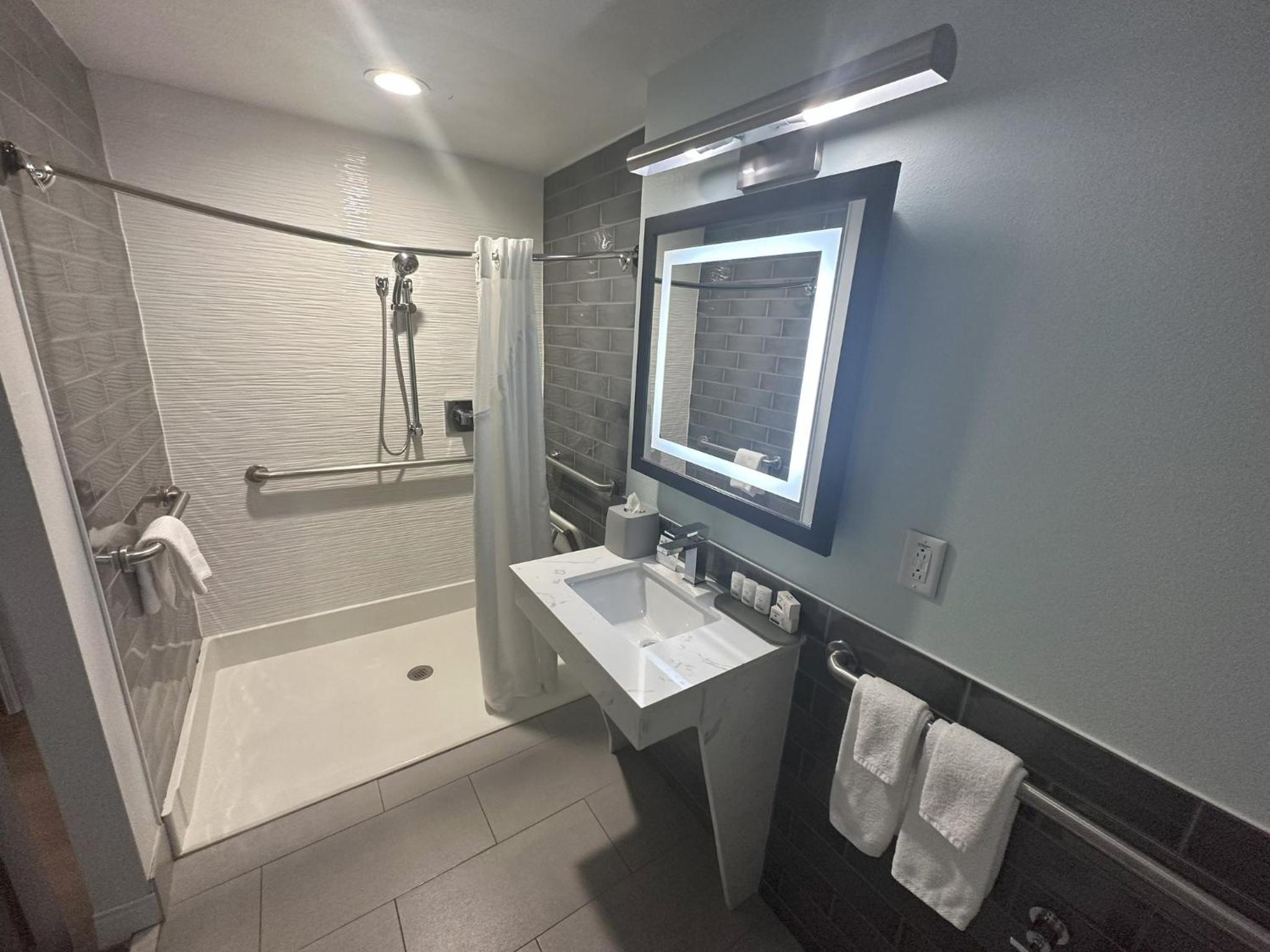 Queen Room with Communications and Mobility Accessible Roll-In Shower photo 3