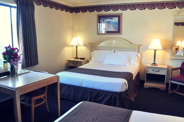 Standard Single Room photo 2