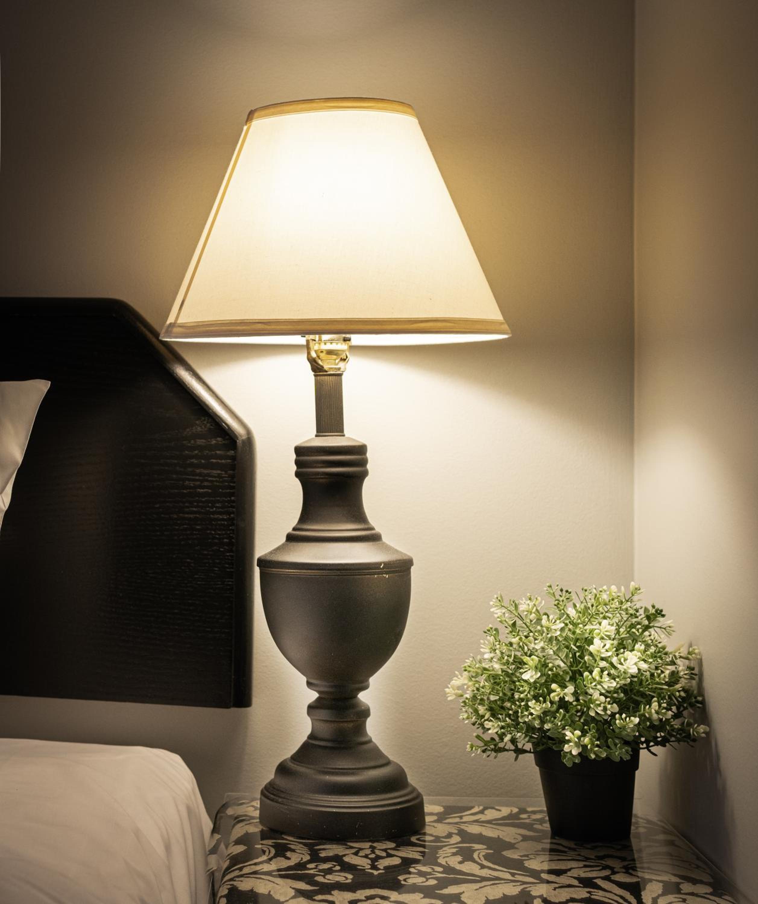 Executive Suite photo 2