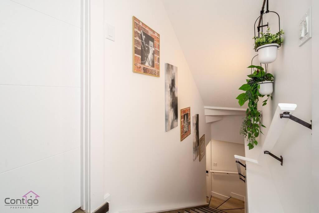 One-Bedroom Suite photo 3