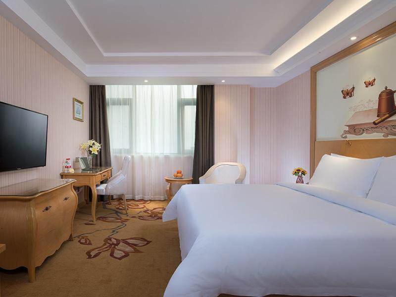 Standard Single Room photo 1