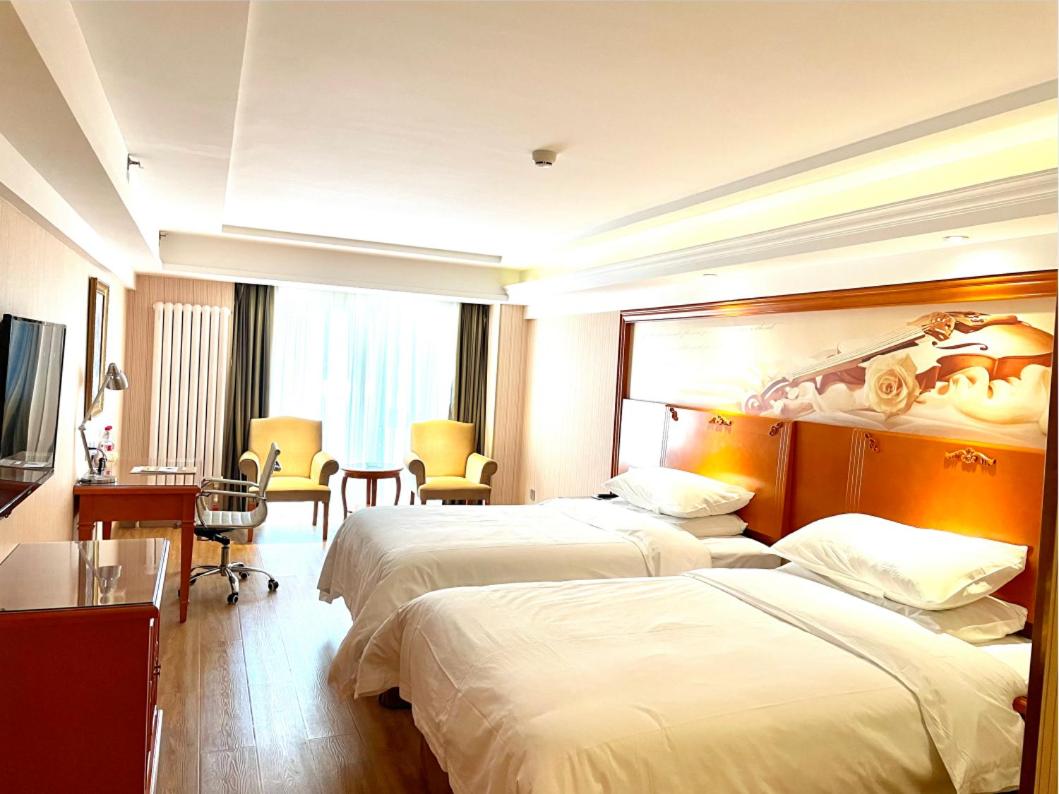 Twin Room photo 2