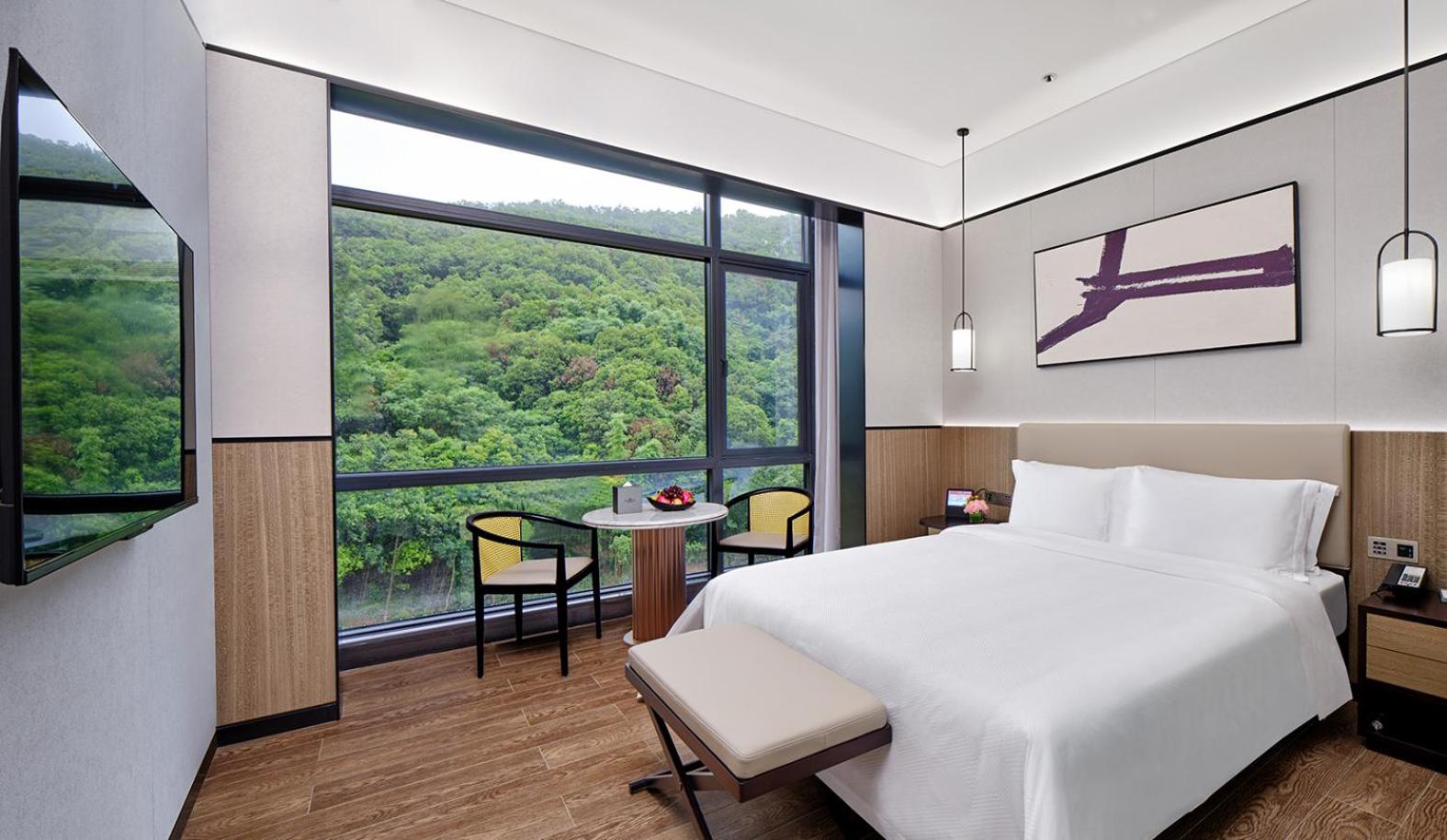Mountain View King Room