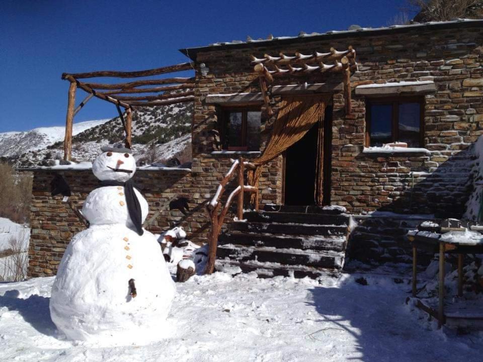 Two-Bedroom Chalet photo 3