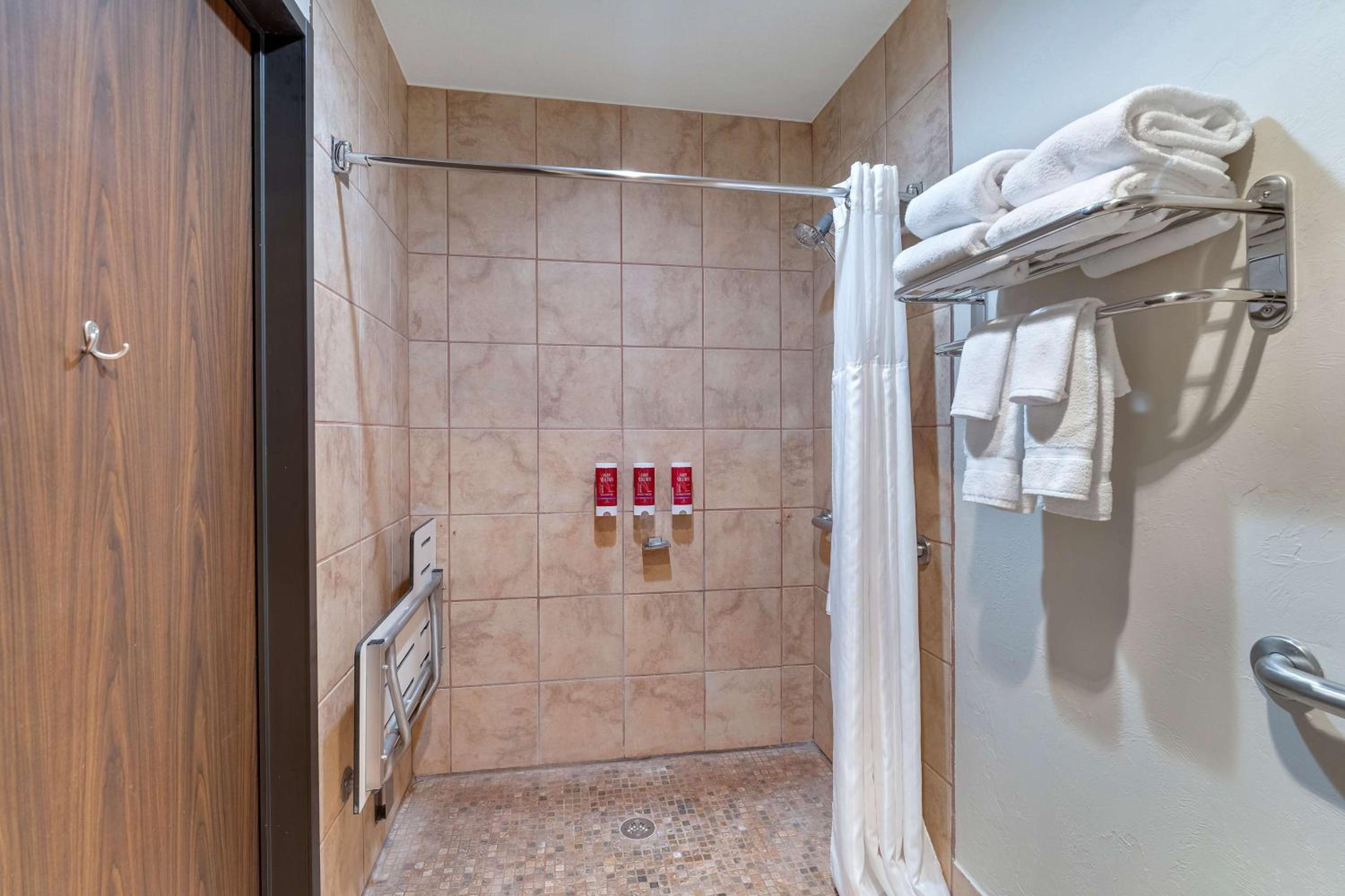 King Room with Roll-In Shower - Disability Access photo 2