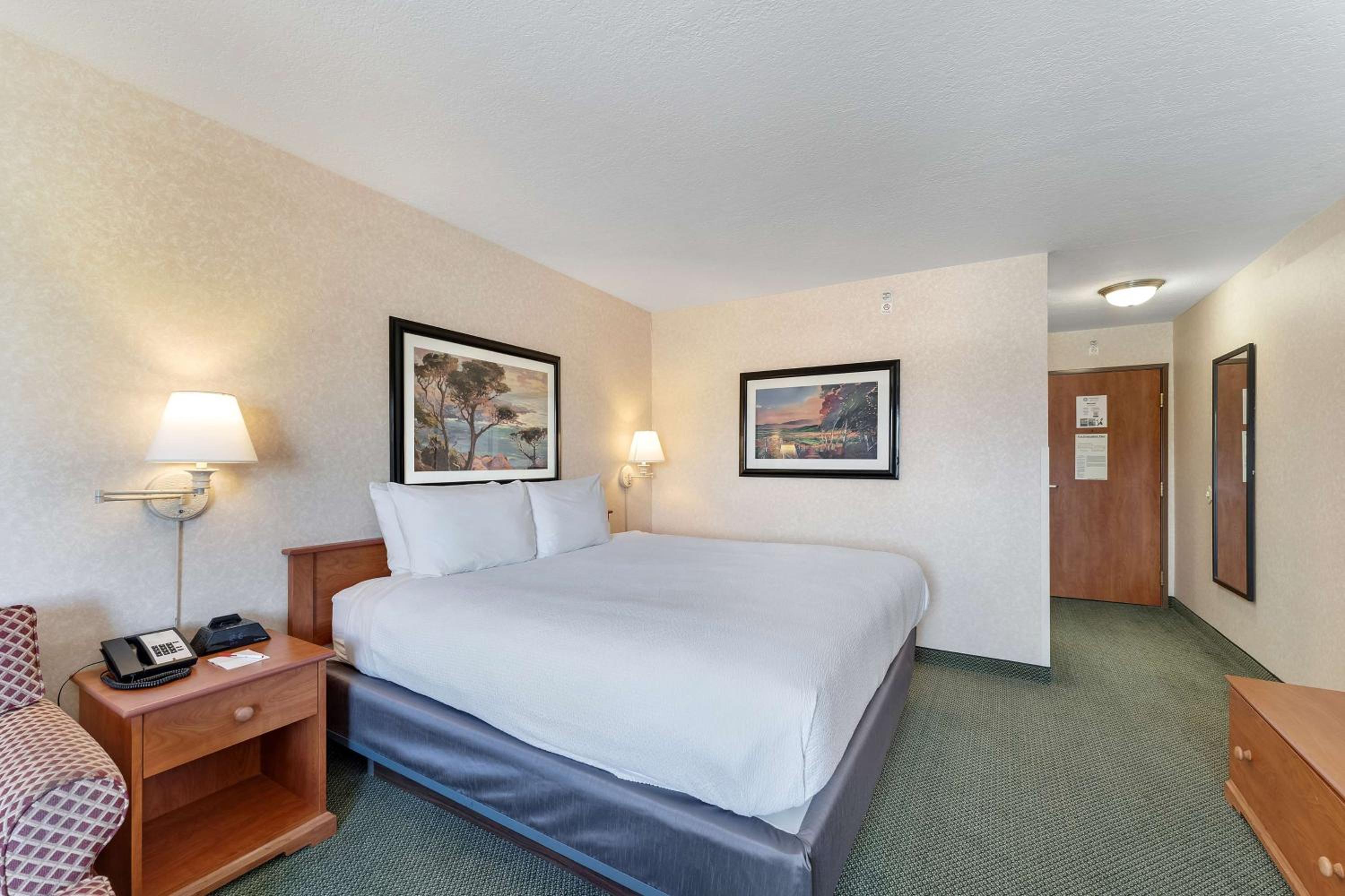 King Suite with Sofa Bed and Kitchenette - Non-Smoking photo 3