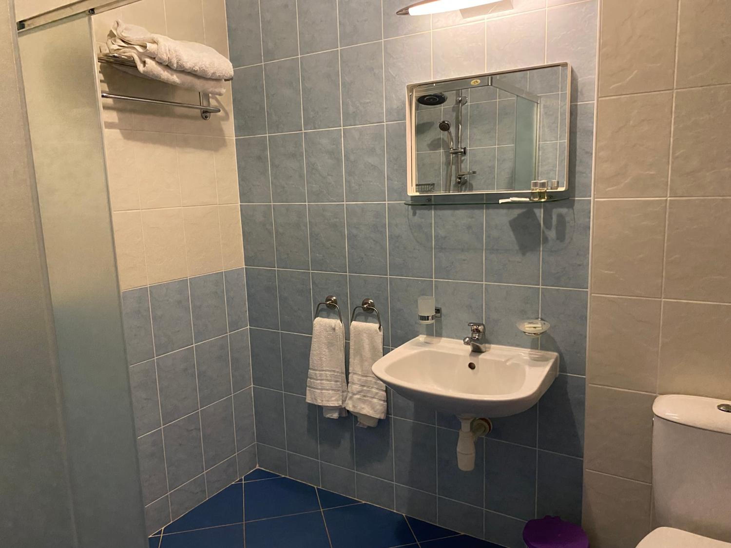 Deluxe Double or Twin Room with Balcony photo 3