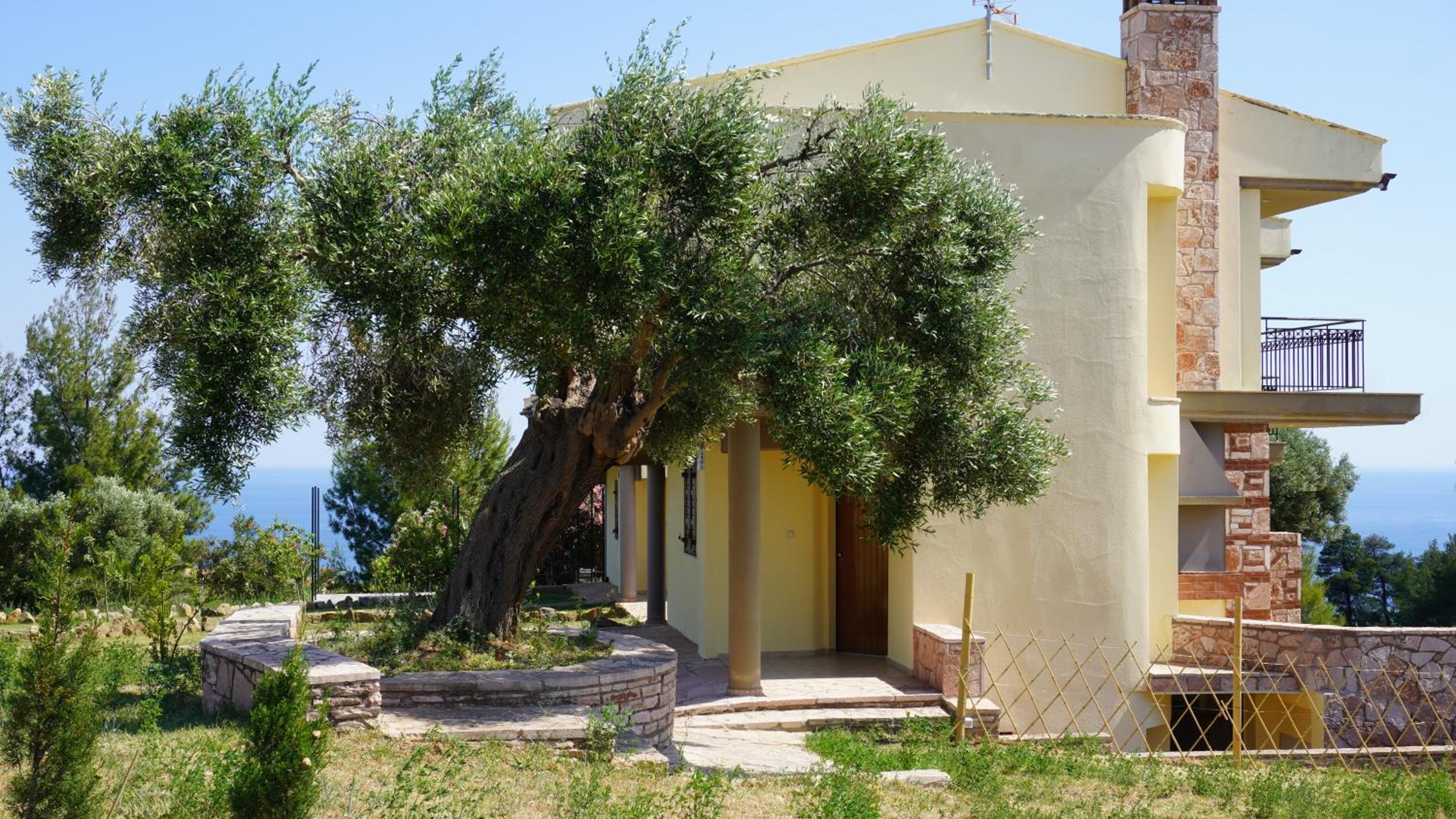 Three-Bedroom House photo 2