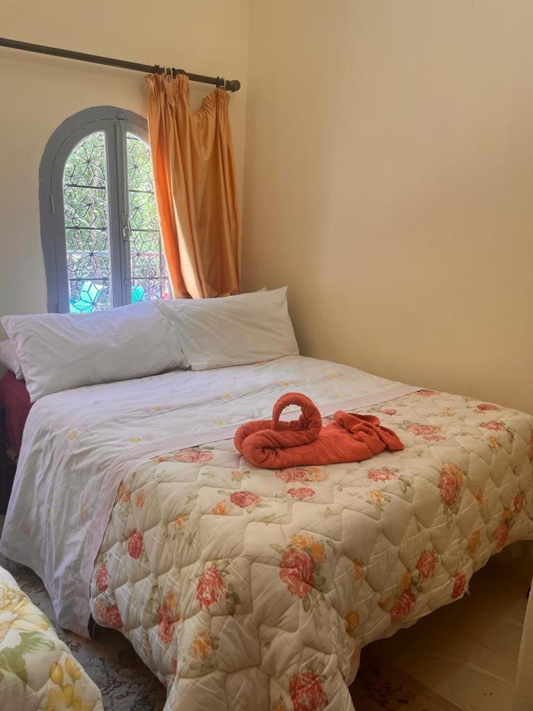 King Room with Mountain View