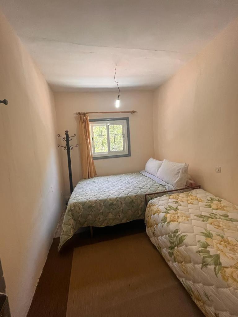 Double or Twin Room with Mountain View