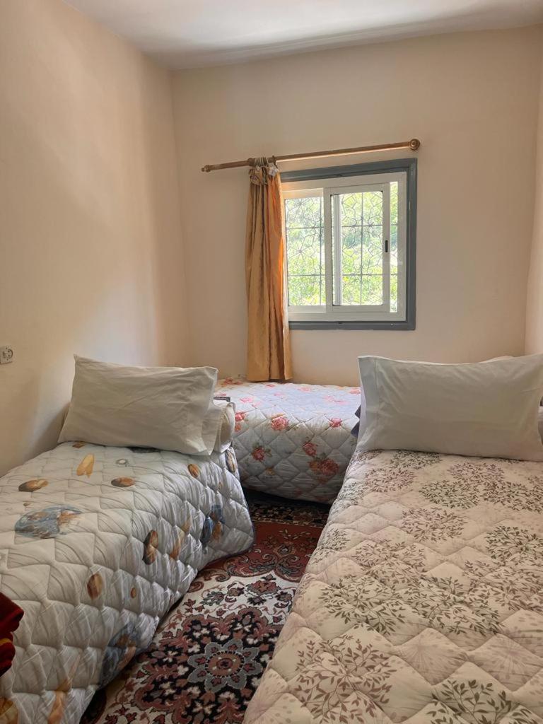 Budget Twin Room