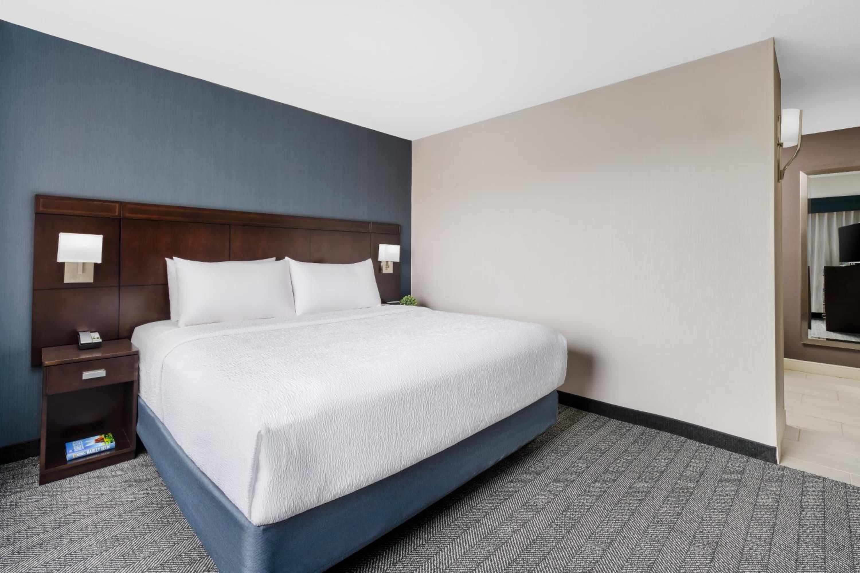Suite, 1 King, Sofa bed - Photo 3