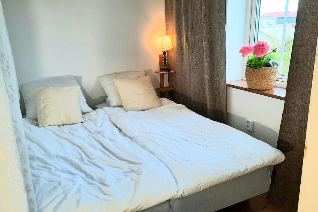 One-Bedroom House photo 3