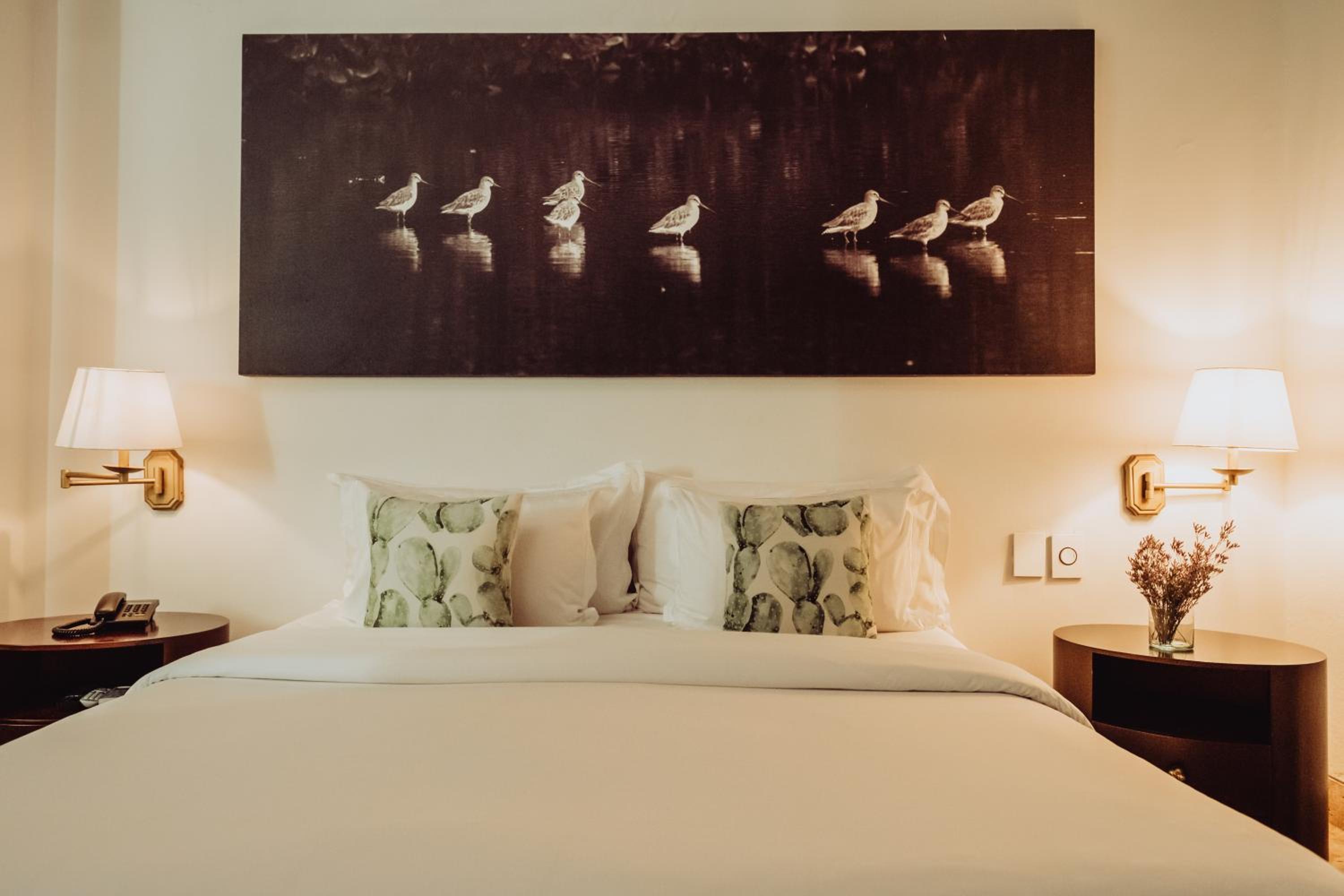 Superior Queen Room photo 2