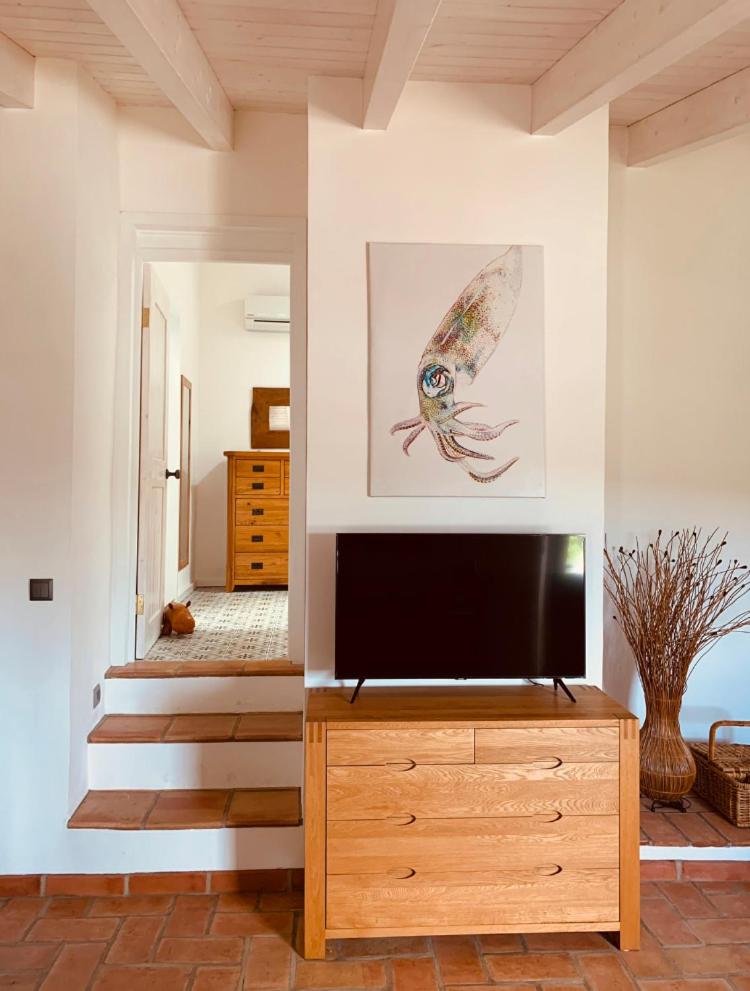 One-Bedroom House photo 3