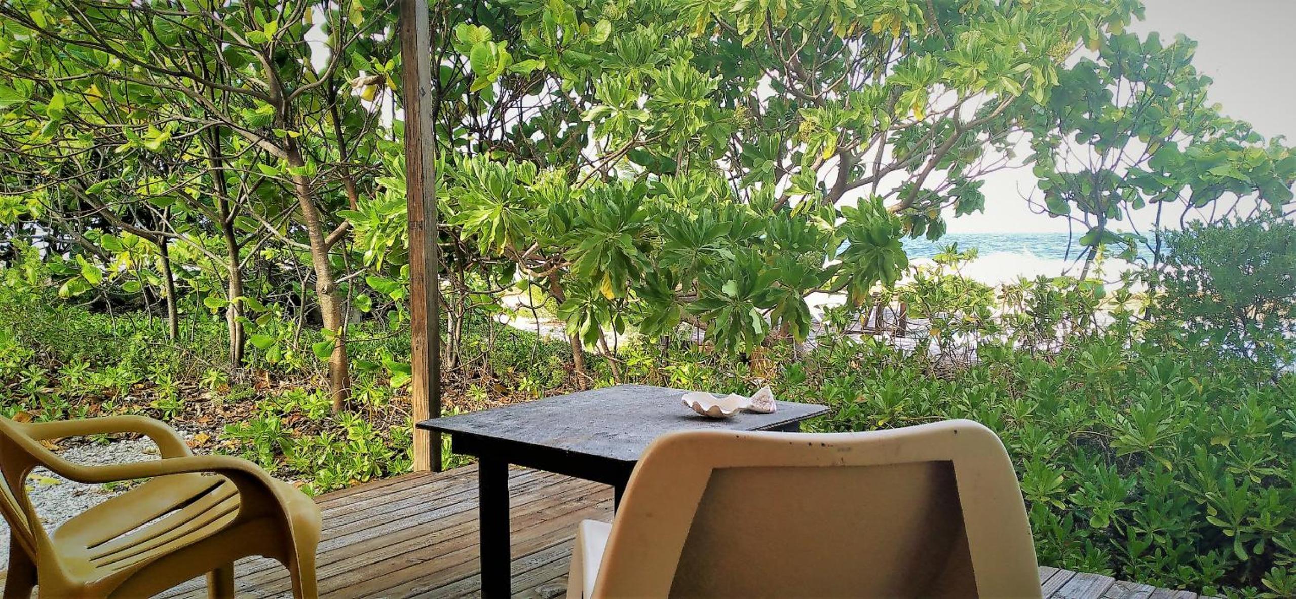 Bungalow with Sea View photo 1