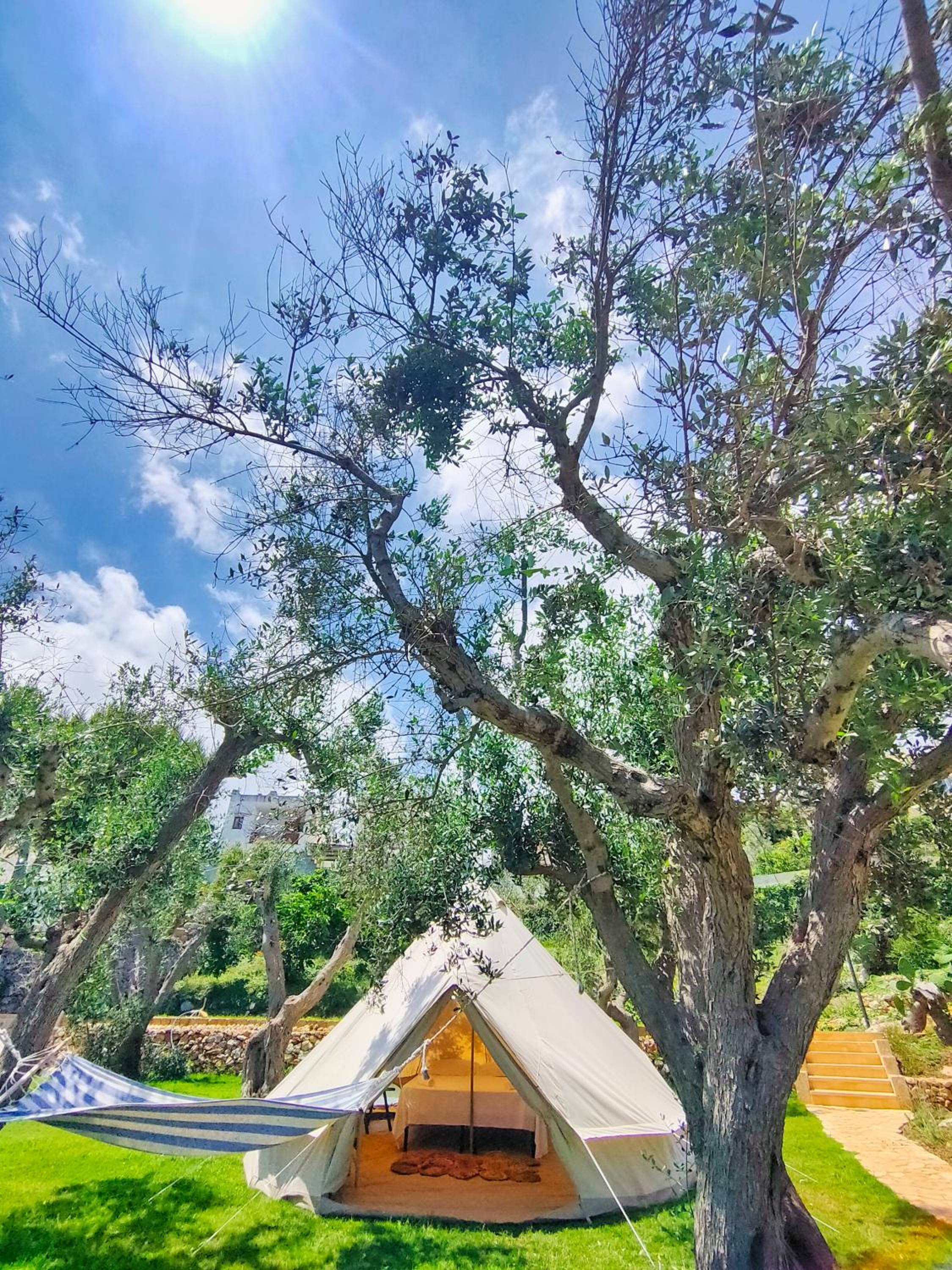 Tent photo 2