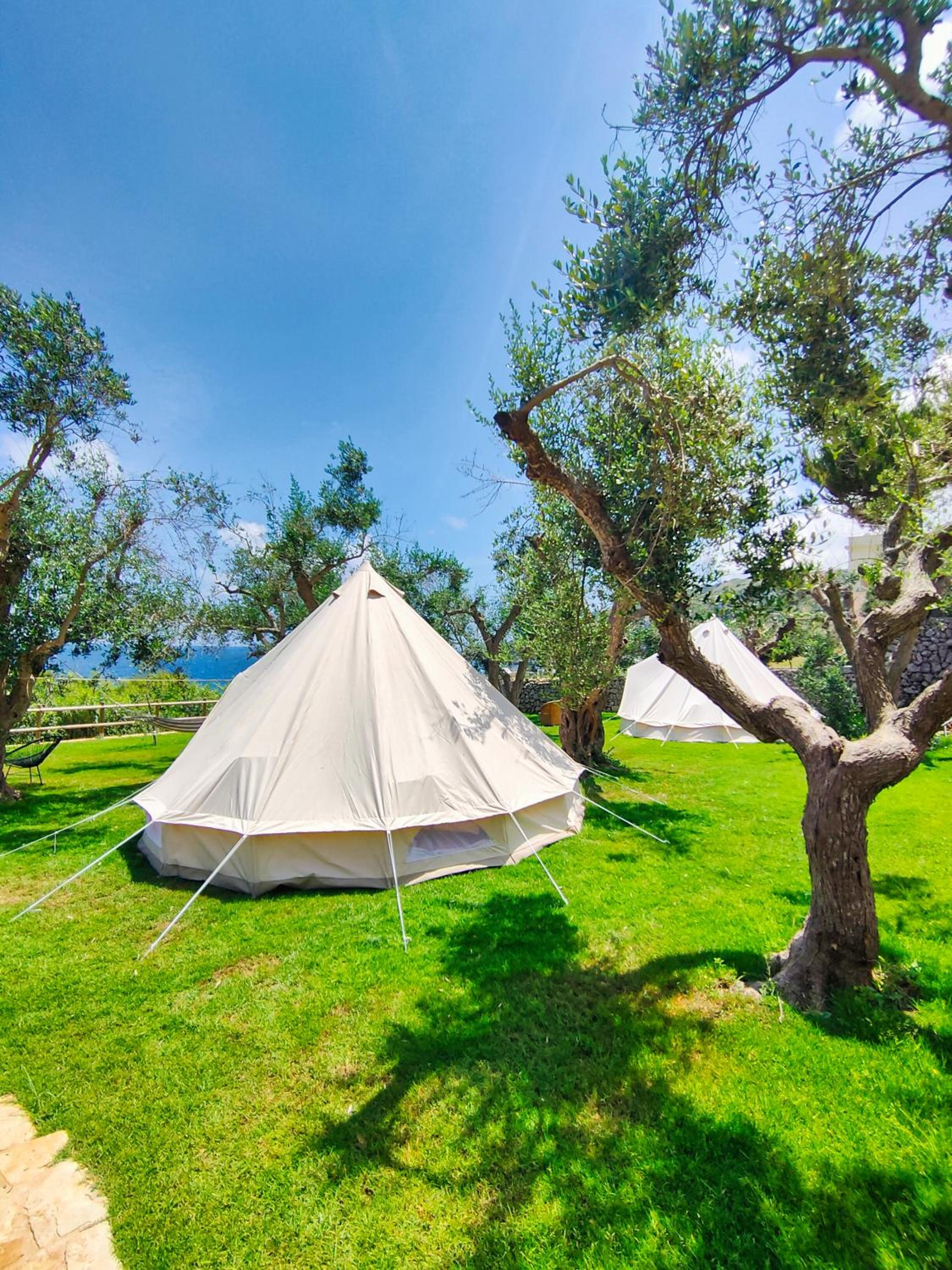 Tent photo 3