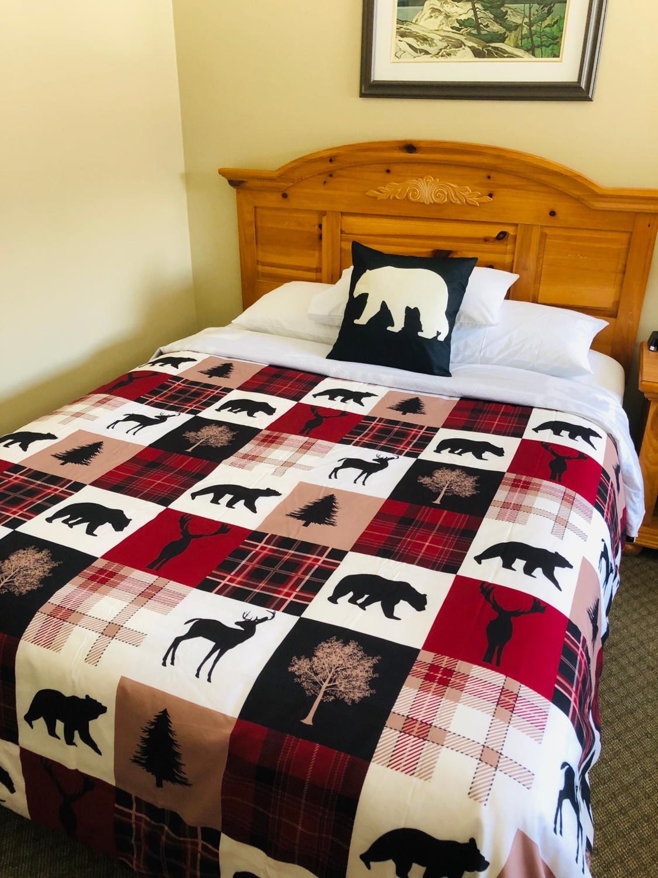 Room with One Queen Bed photo 3
