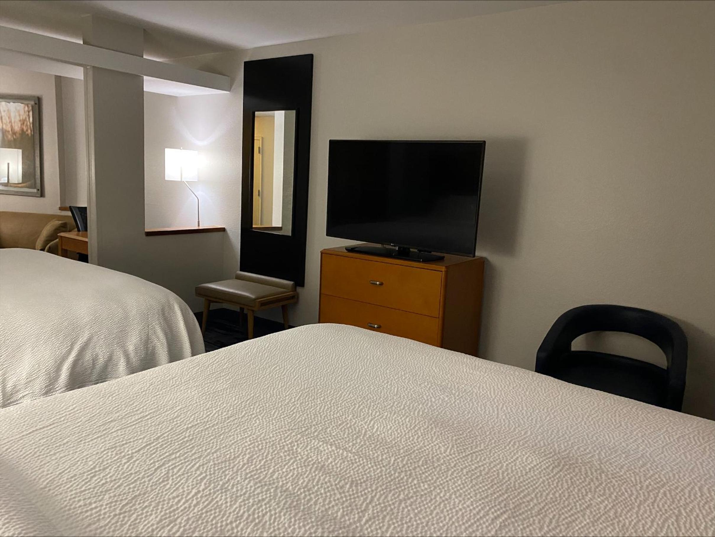 One-Bedroom Suite - Photo 2