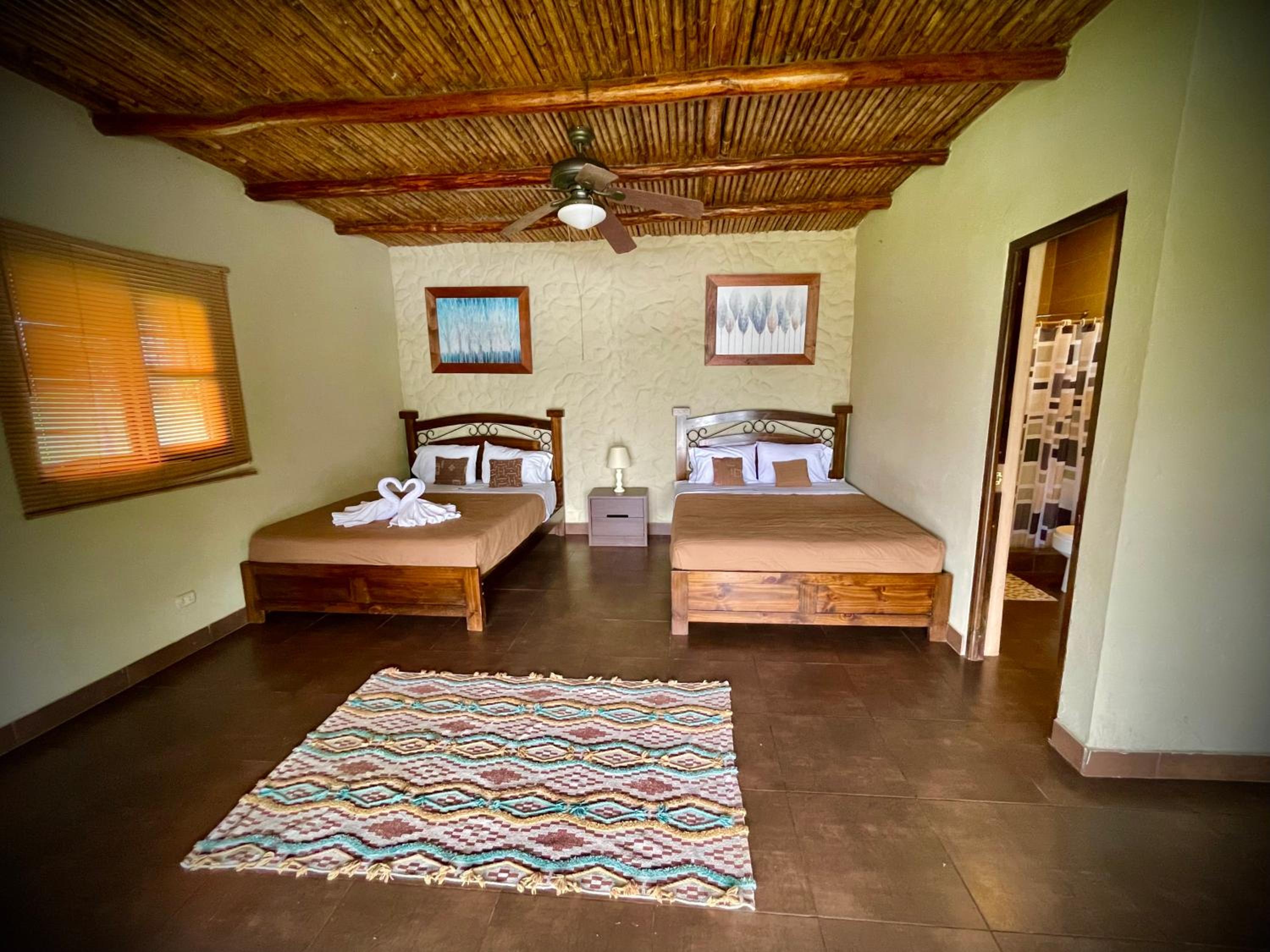 Twin Room With View photo 1
