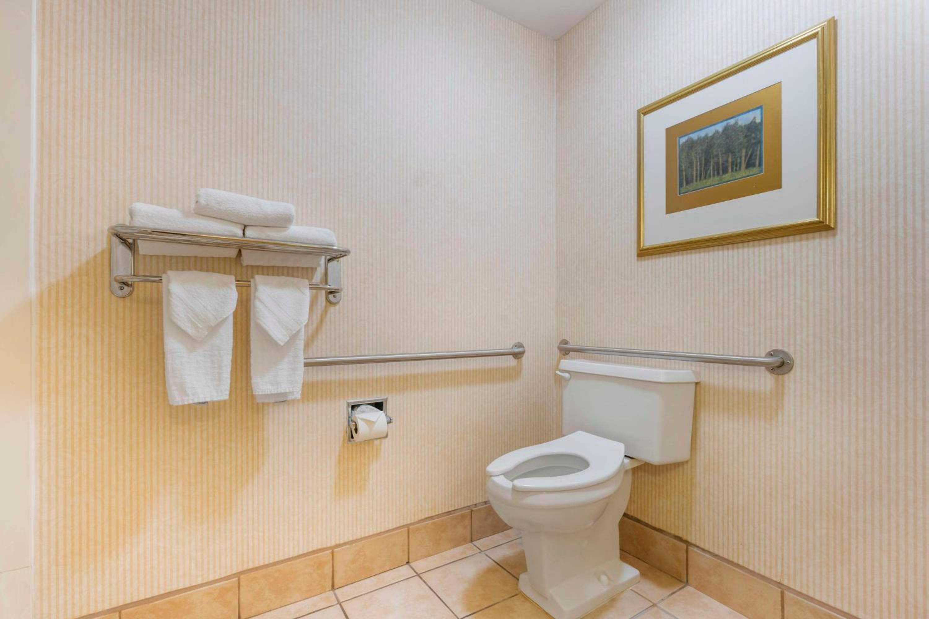 Queen Room - Disability Access Tub - Photo 2